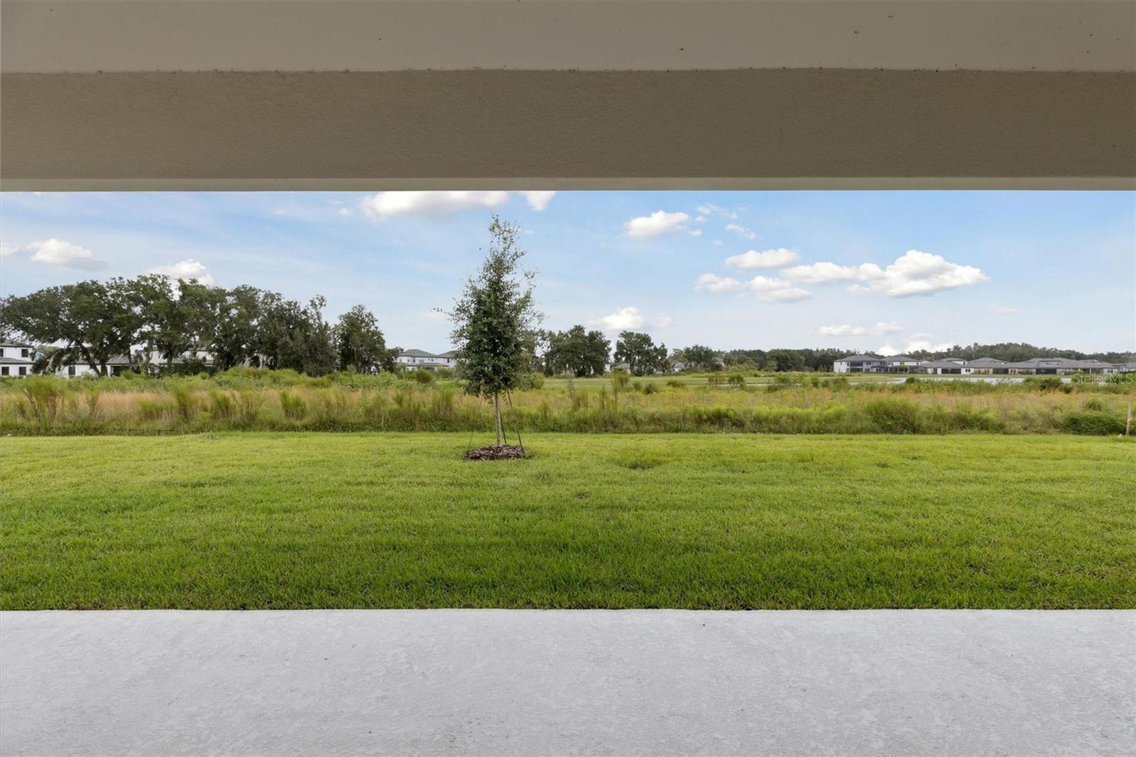 14936 RIDER PASS DR, LITHIA, FL, 33547