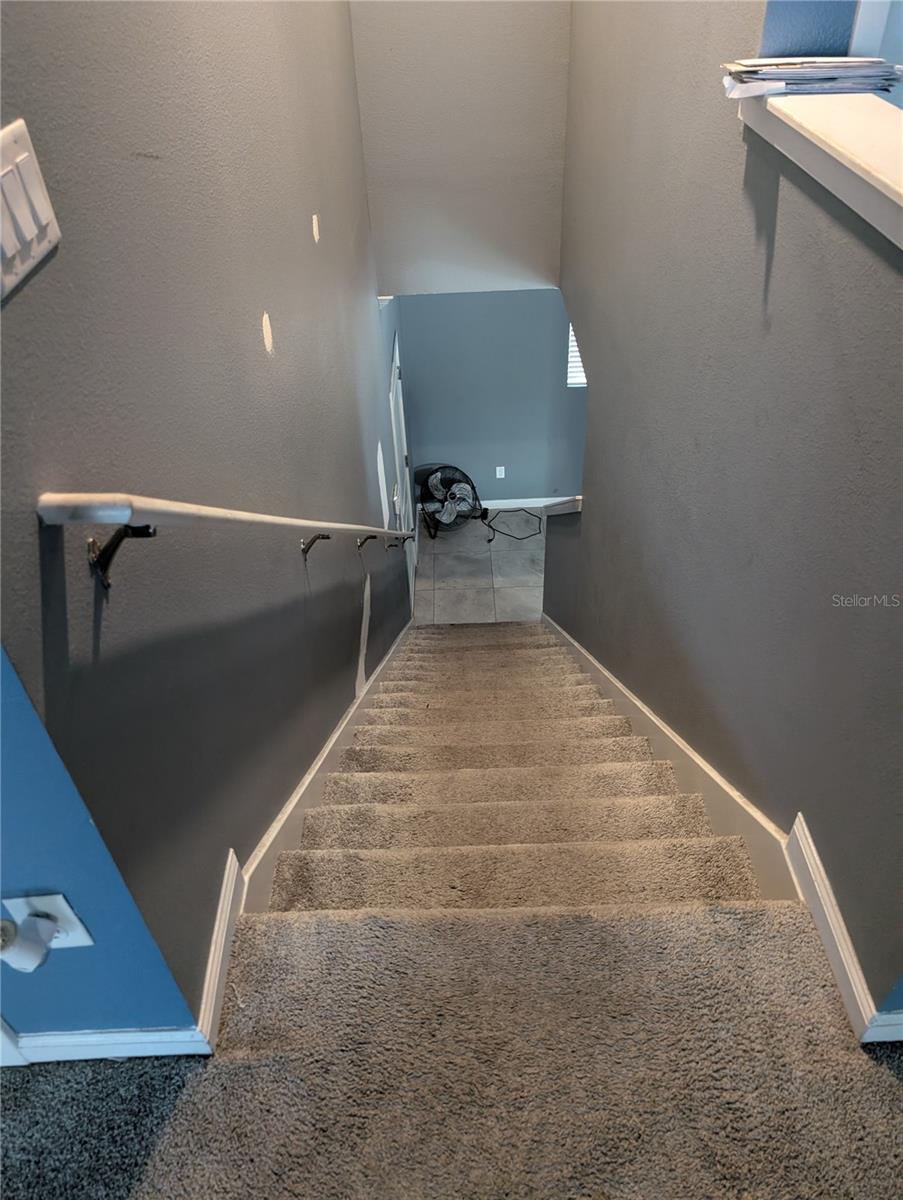 1776 BLACK MAPLE PL, OCOEE, FL, 34761