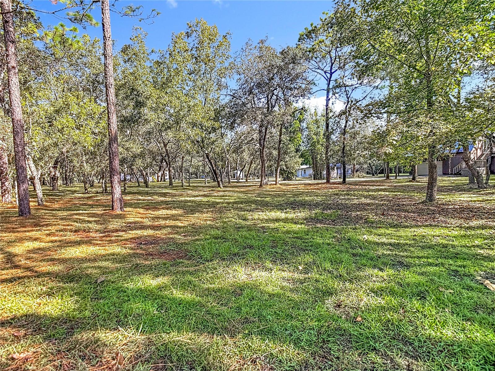 5200 W HOLIDAY ST, HOMOSASSA, FL, 34446