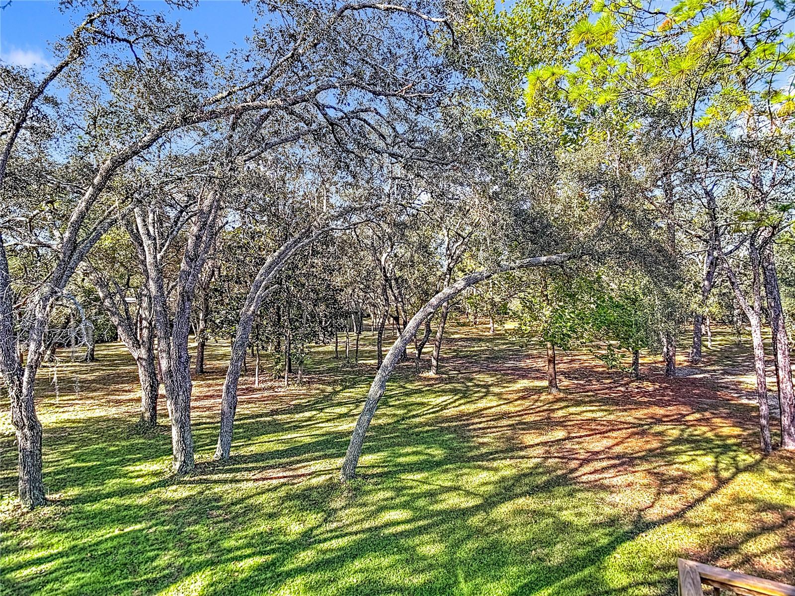 5200 W HOLIDAY ST, HOMOSASSA, FL, 34446