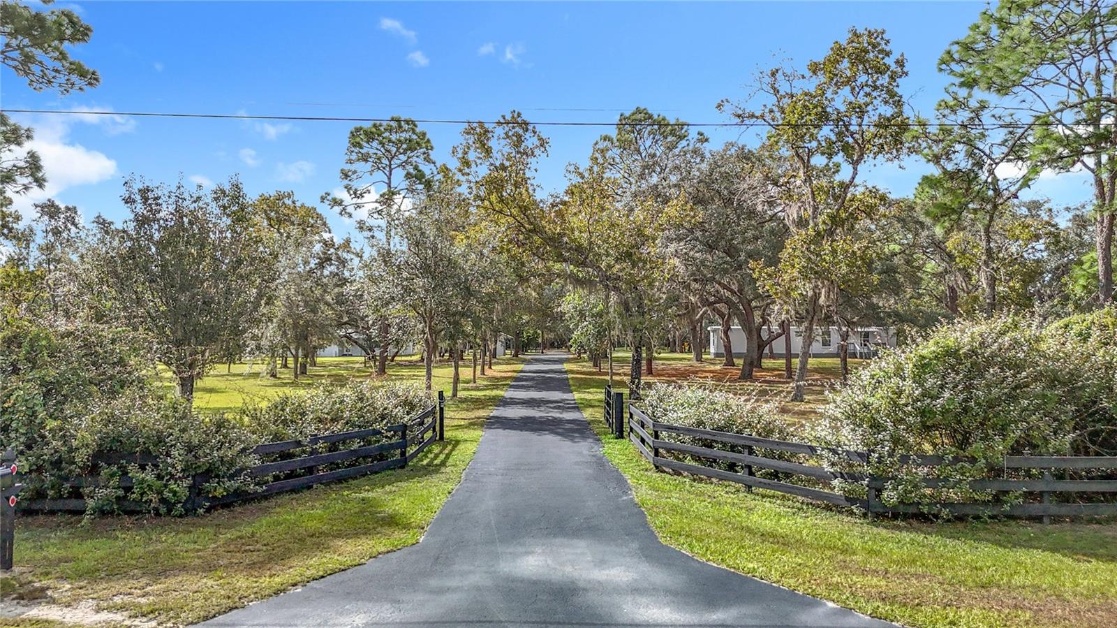 5200 W HOLIDAY ST, HOMOSASSA, FL, 34446