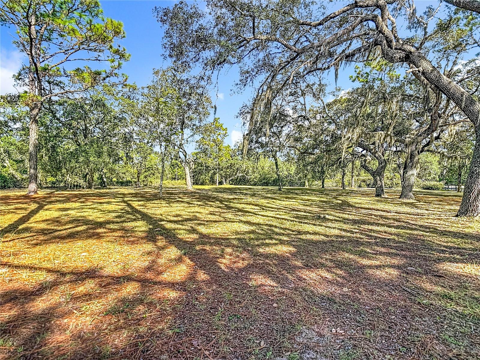 5200 W HOLIDAY ST, HOMOSASSA, FL, 34446