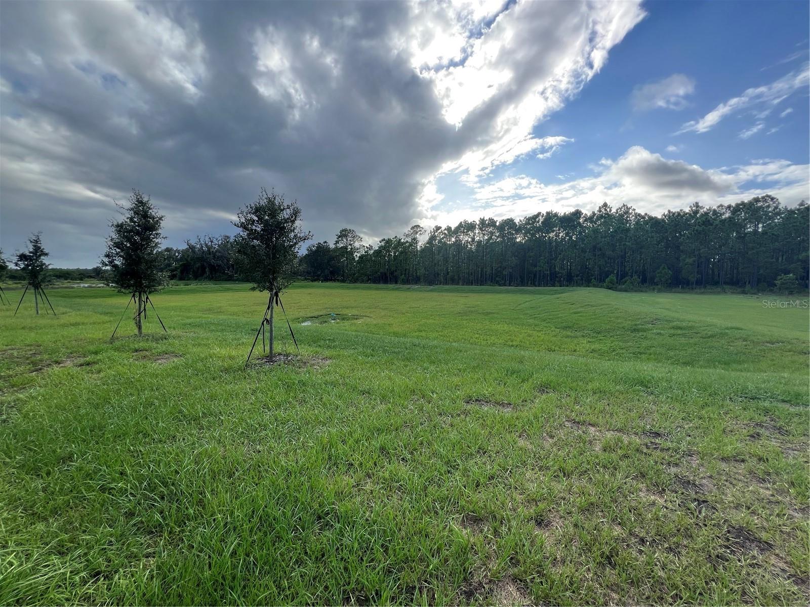 2655 ANGEL FALLS DRIVE, DAVENPORT, FL, 33837