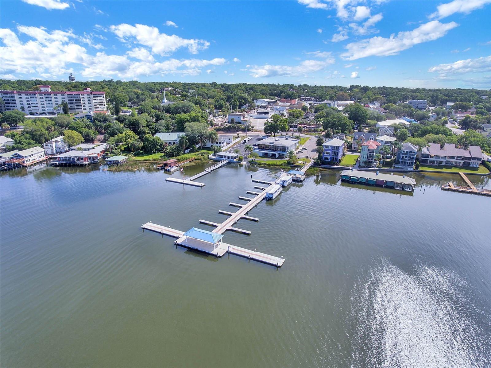 1011 LIBERTY AVE, MOUNT DORA, FL, 32757