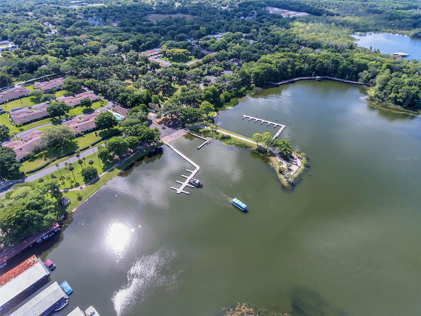 1011 LIBERTY AVE, MOUNT DORA, FL, 32757