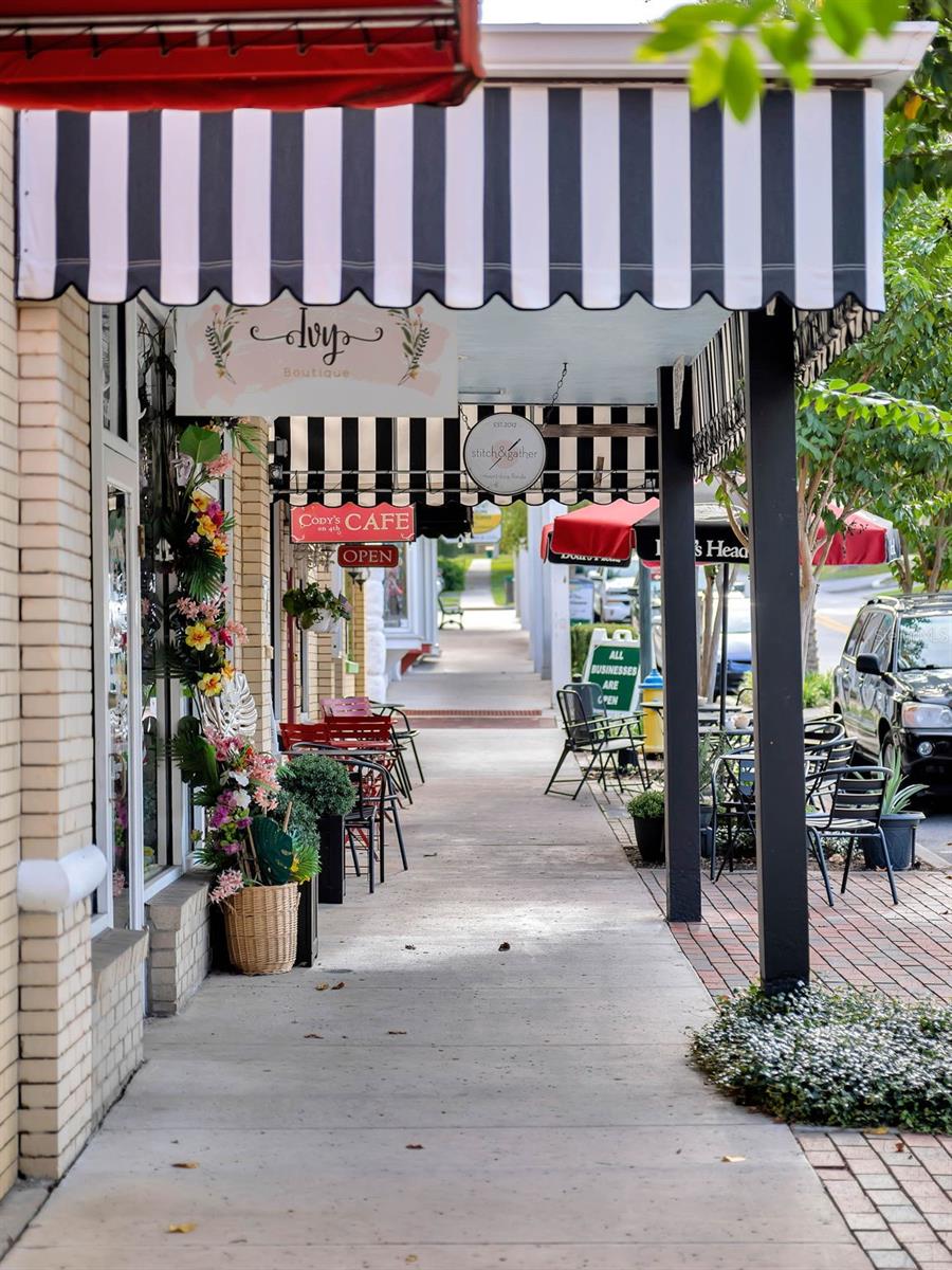 1011 LIBERTY AVE, MOUNT DORA, FL, 32757