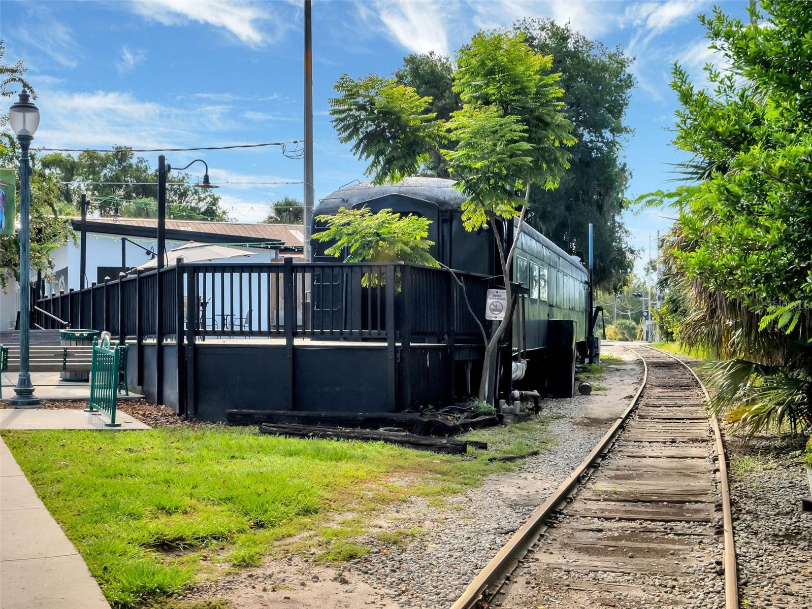 1011 LIBERTY AVE, MOUNT DORA, FL, 32757