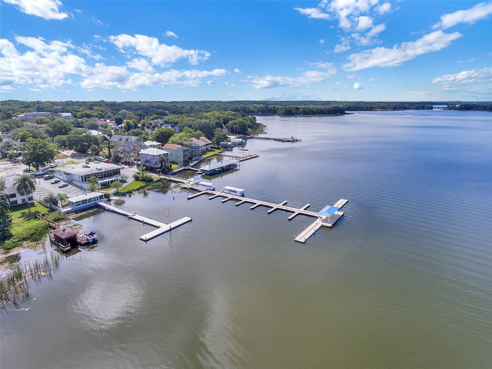 1011 LIBERTY AVE, MOUNT DORA, FL, 32757