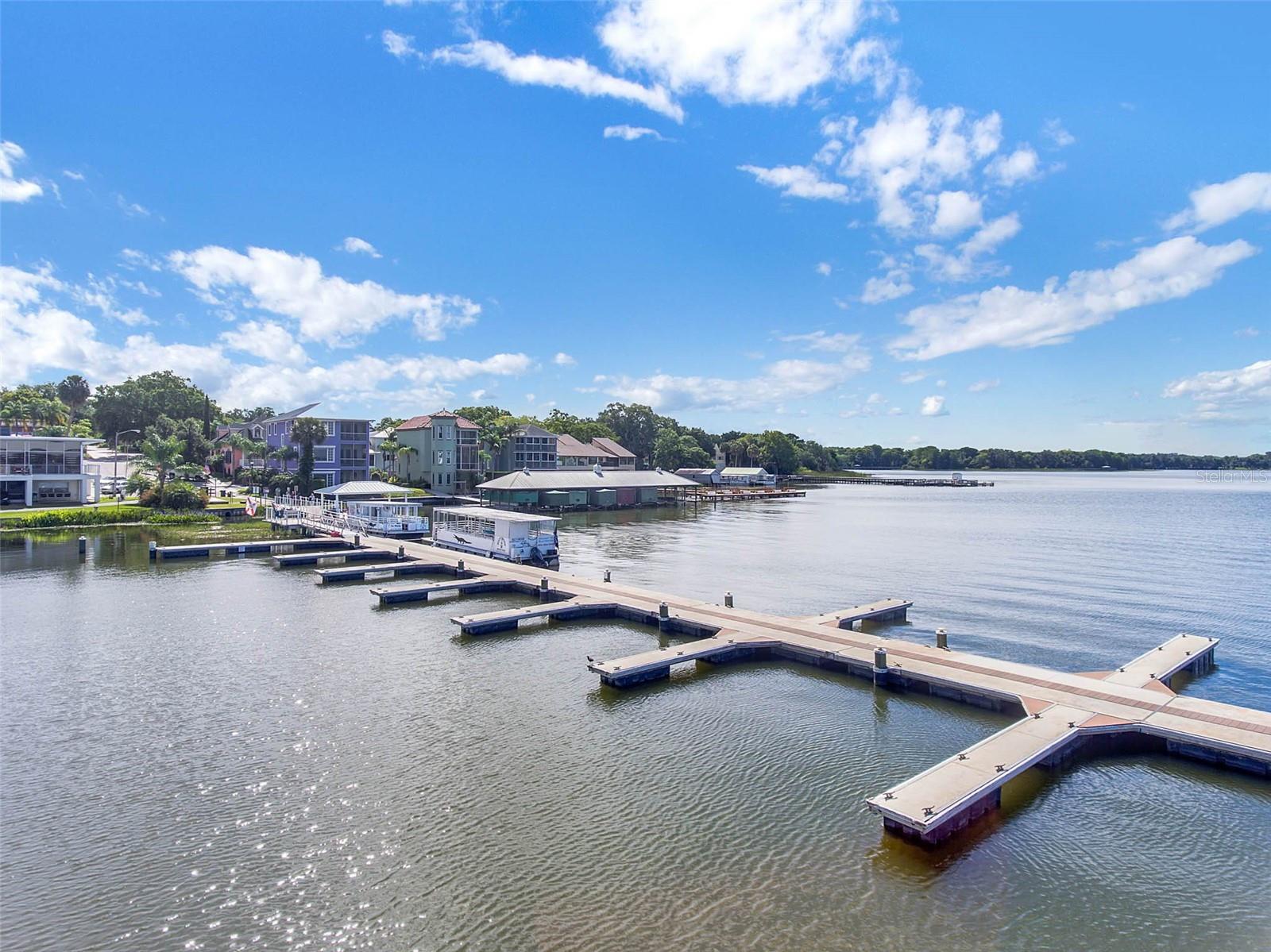 1011 LIBERTY AVE, MOUNT DORA, FL, 32757