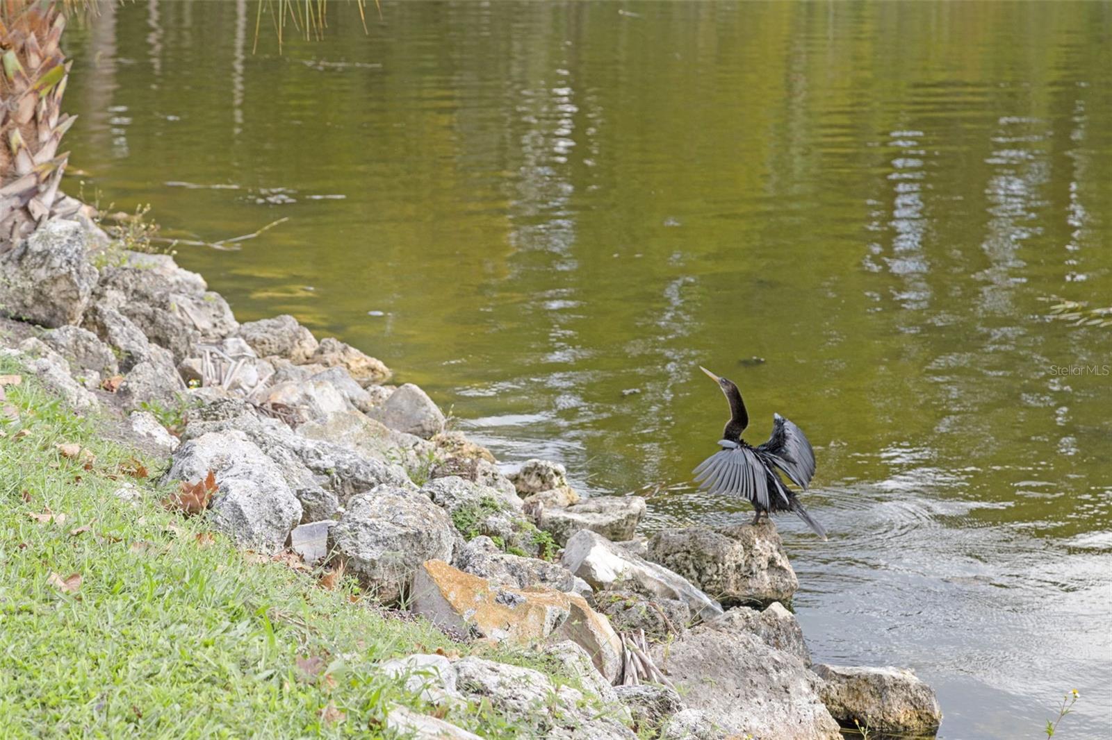 1011 LIBERTY AVE, MOUNT DORA, FL, 32757