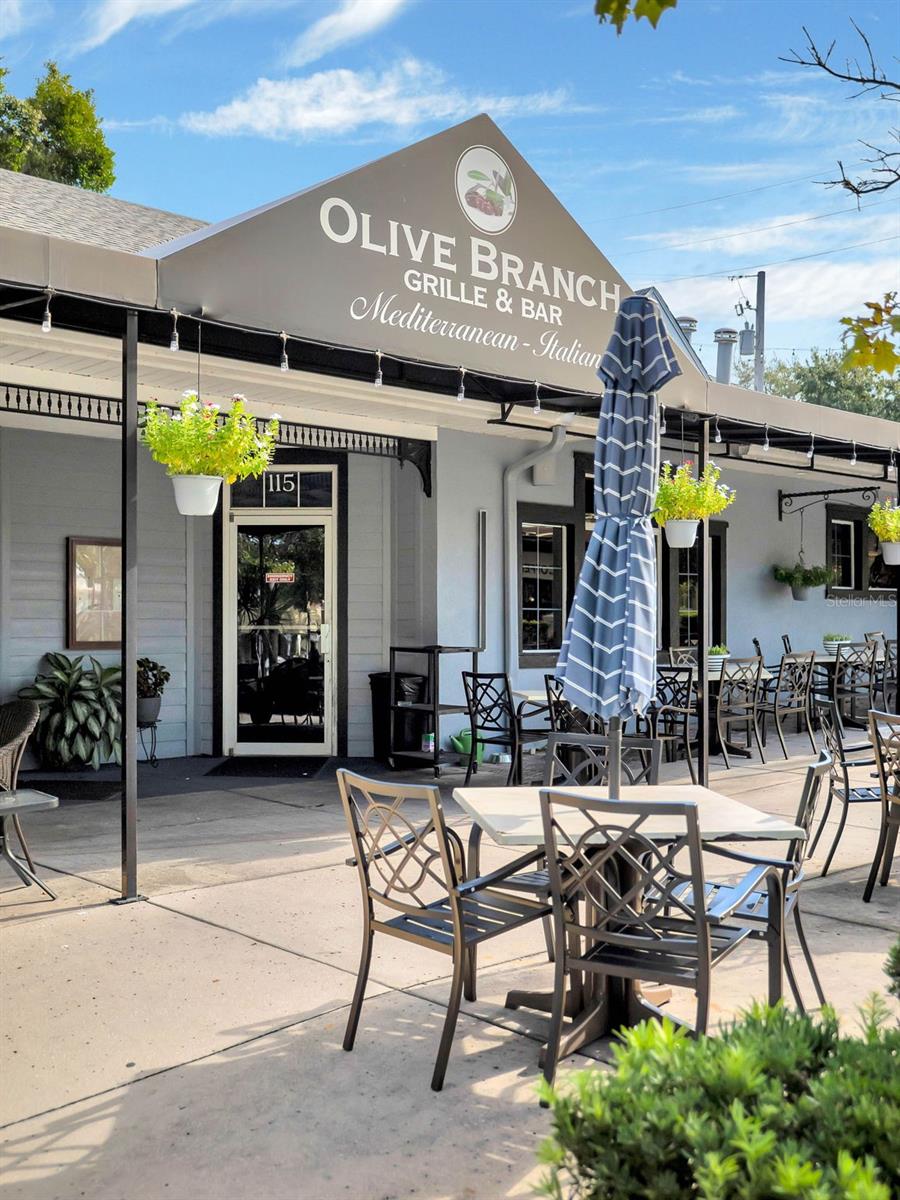 1011 LIBERTY AVE, MOUNT DORA, FL, 32757