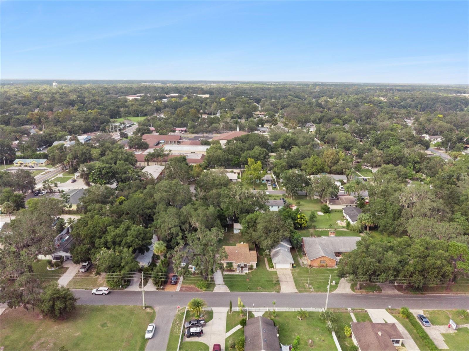 1011 LIBERTY AVE, MOUNT DORA, FL, 32757