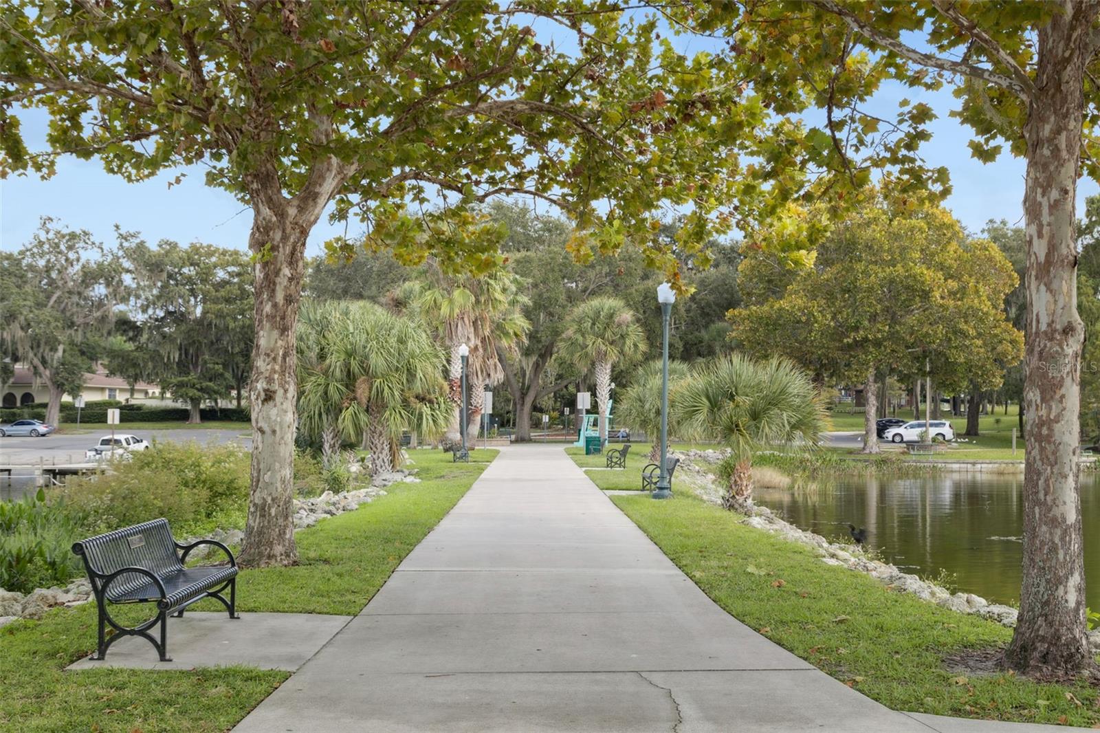 1011 LIBERTY AVE, MOUNT DORA, FL, 32757