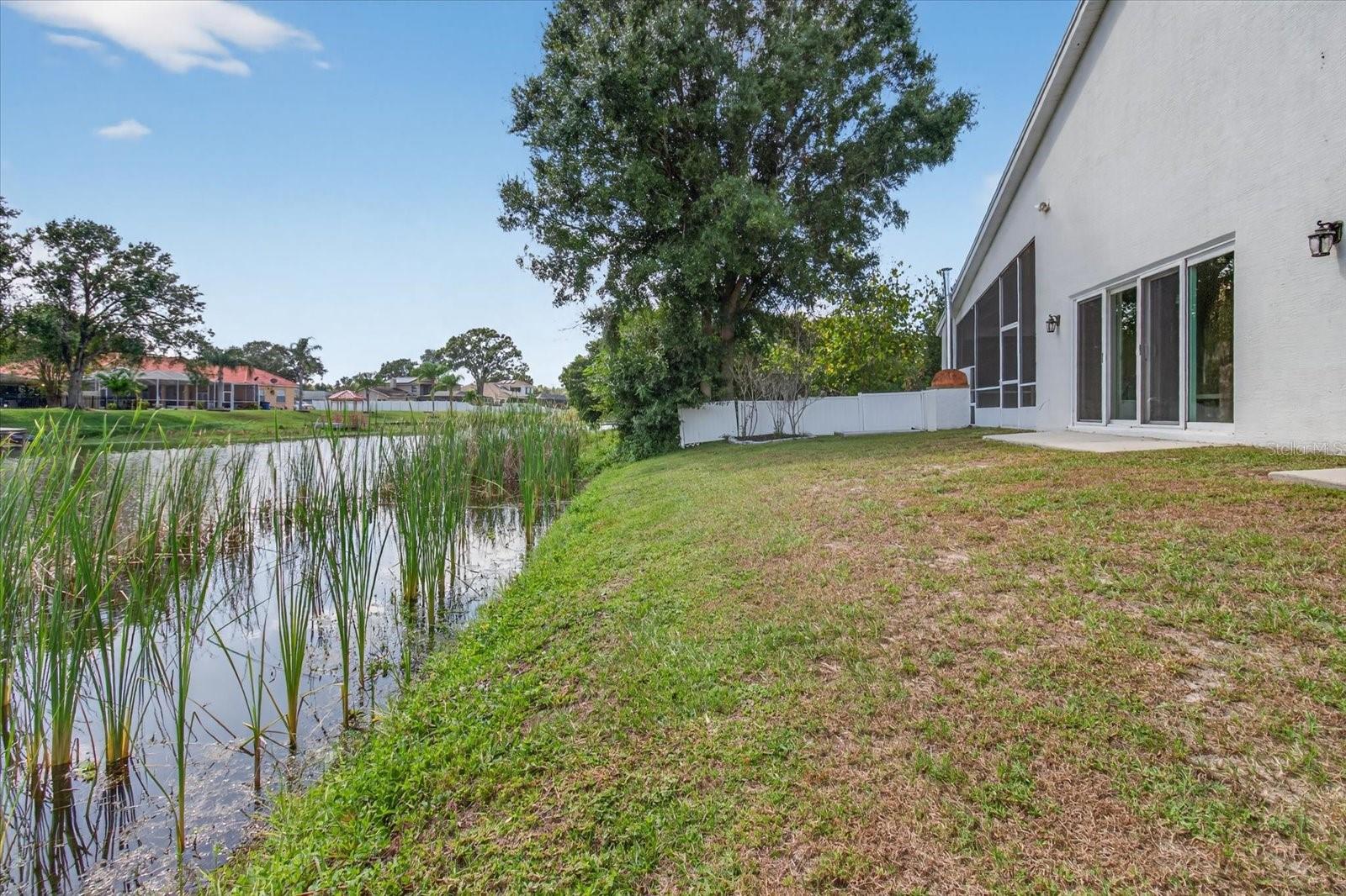 3238 CULLENDALE DR, TAMPA, FL, 33618