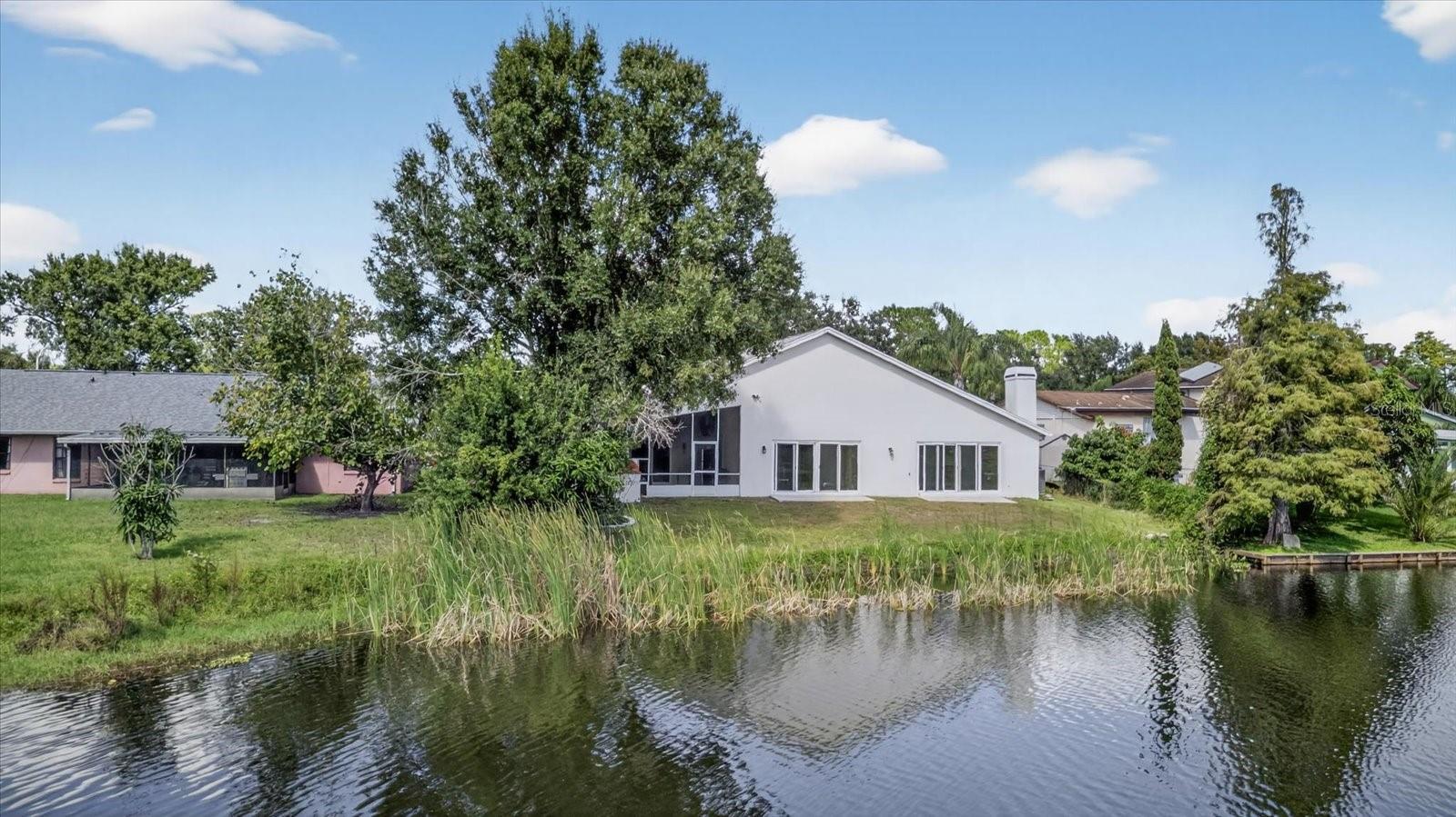 3238 CULLENDALE DR, TAMPA, FL, 33618