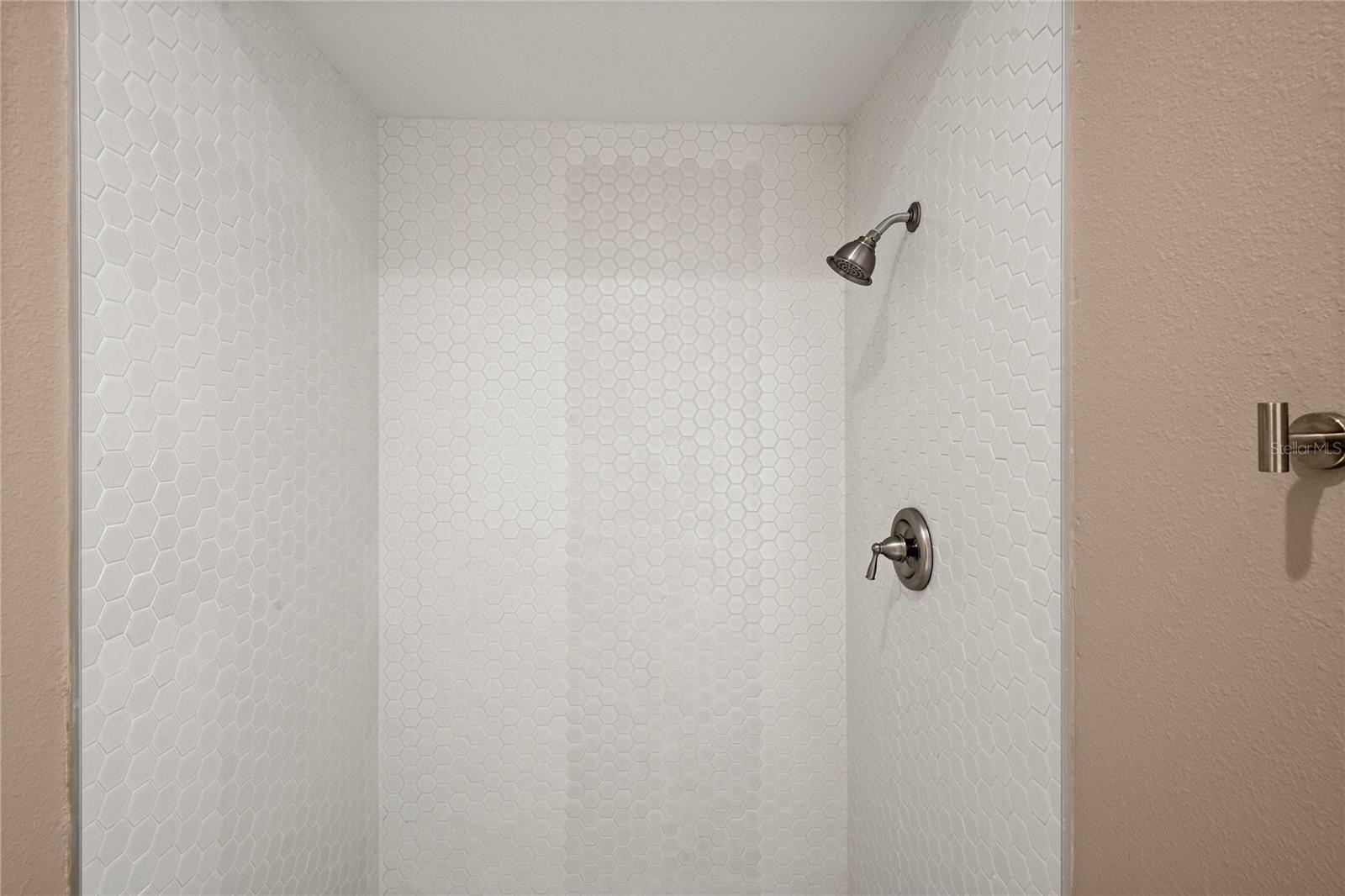 13315 BRANCHVILLE RD, SPRING HILL, FL, 34609