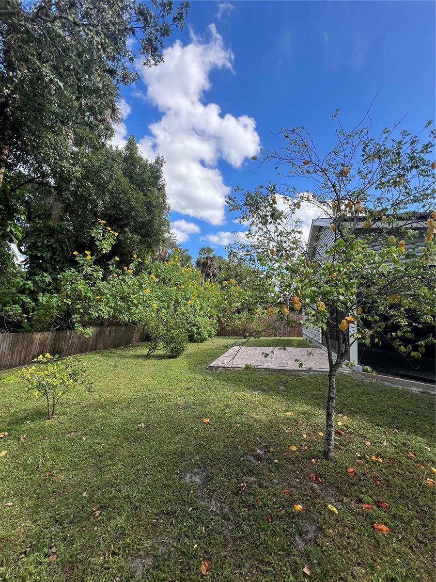 768 CROWS BLF, SANFORD, FL, 32773