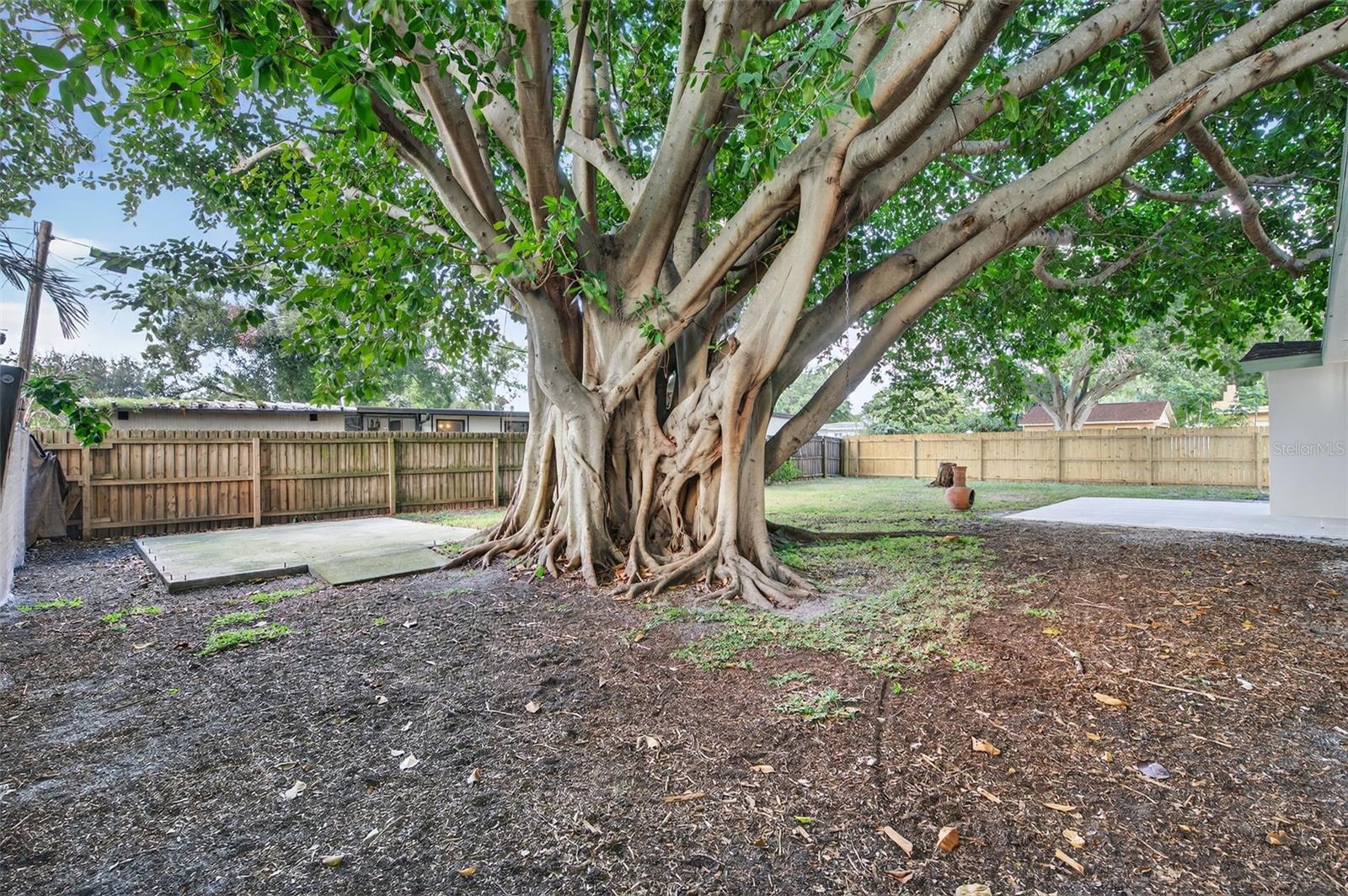 4107 W FIELDER ST, TAMPA, FL, 33611