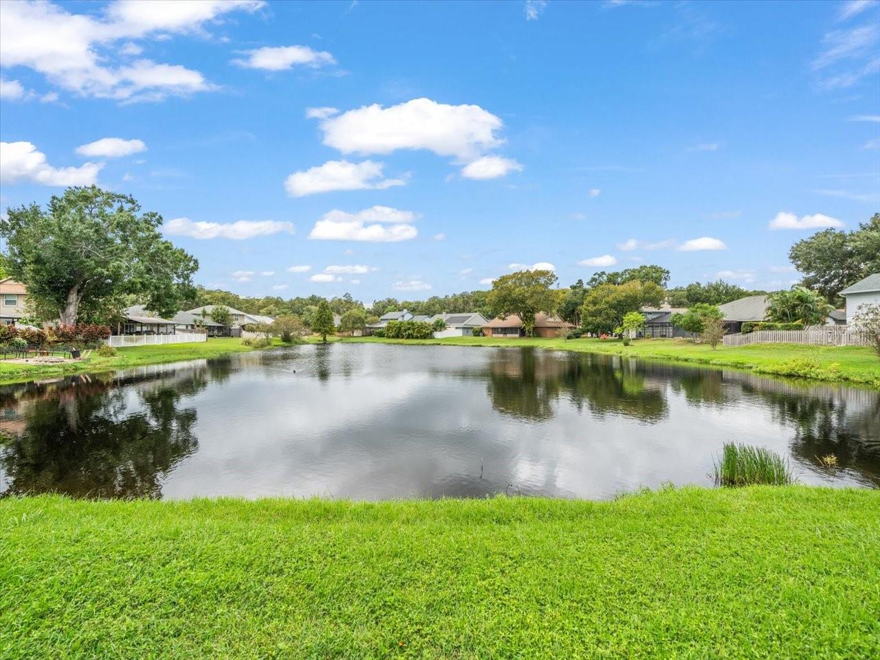 15106 NIGHTHAWK DR, TAMPA, FL, 33625