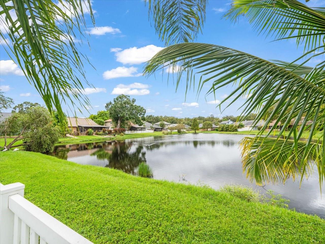 15106 NIGHTHAWK DR, TAMPA, FL, 33625