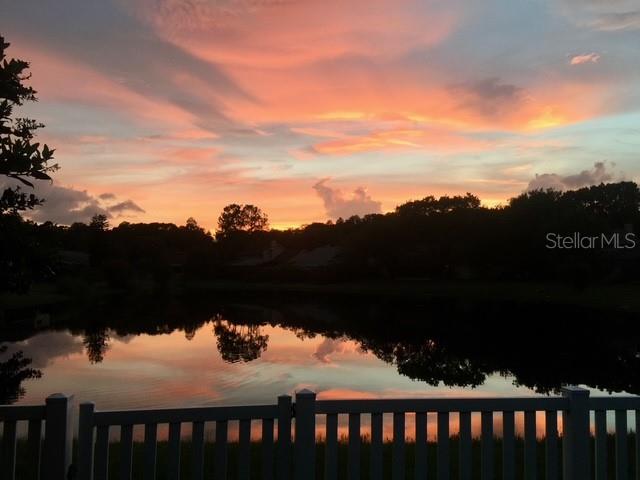 15106 NIGHTHAWK DR, TAMPA, FL, 33625