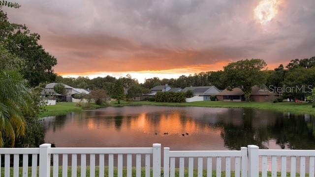 15106 NIGHTHAWK DR, TAMPA, FL, 33625