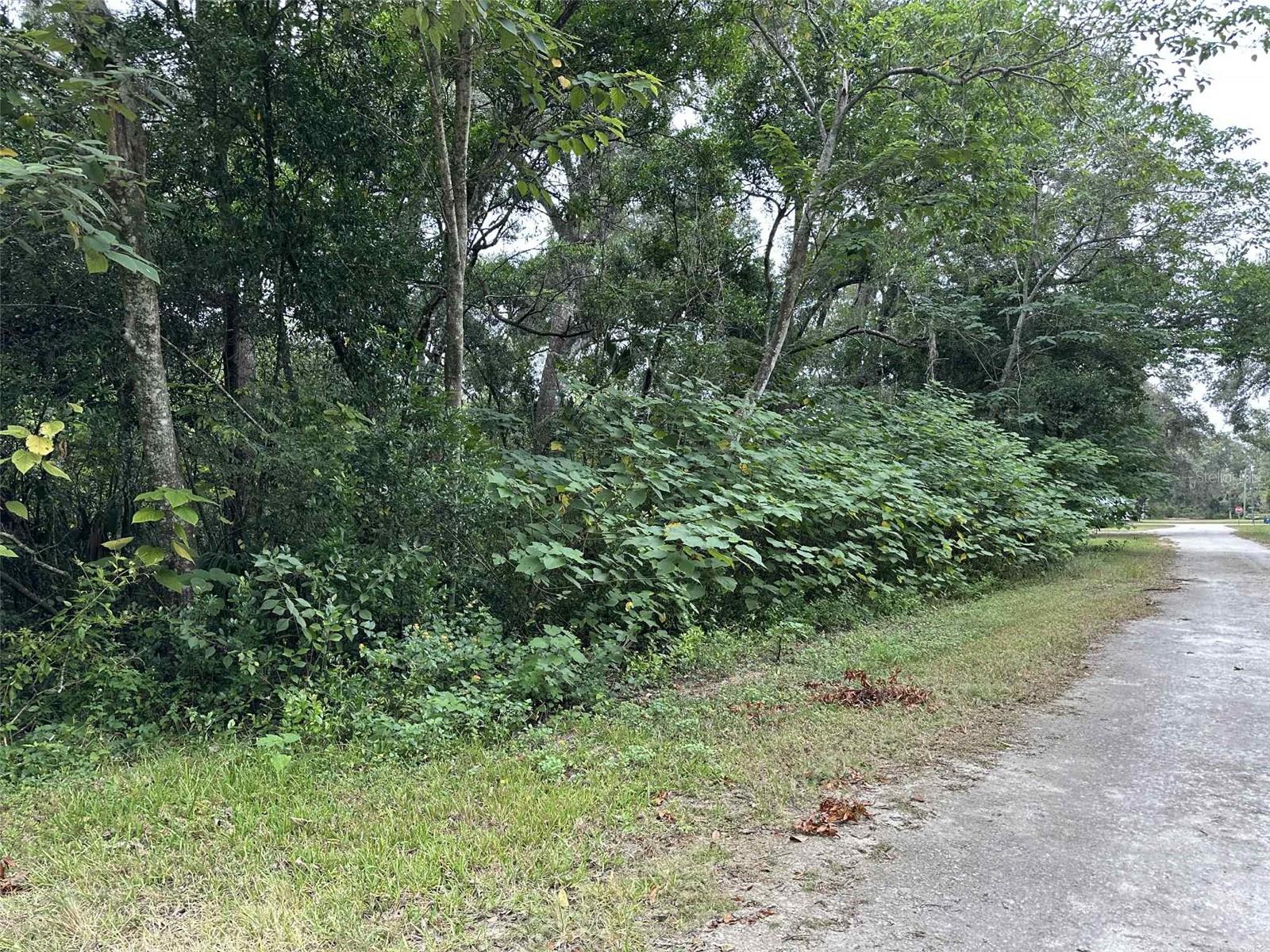 JENKINS AVE, BROOKSVILLE, FL, 34604