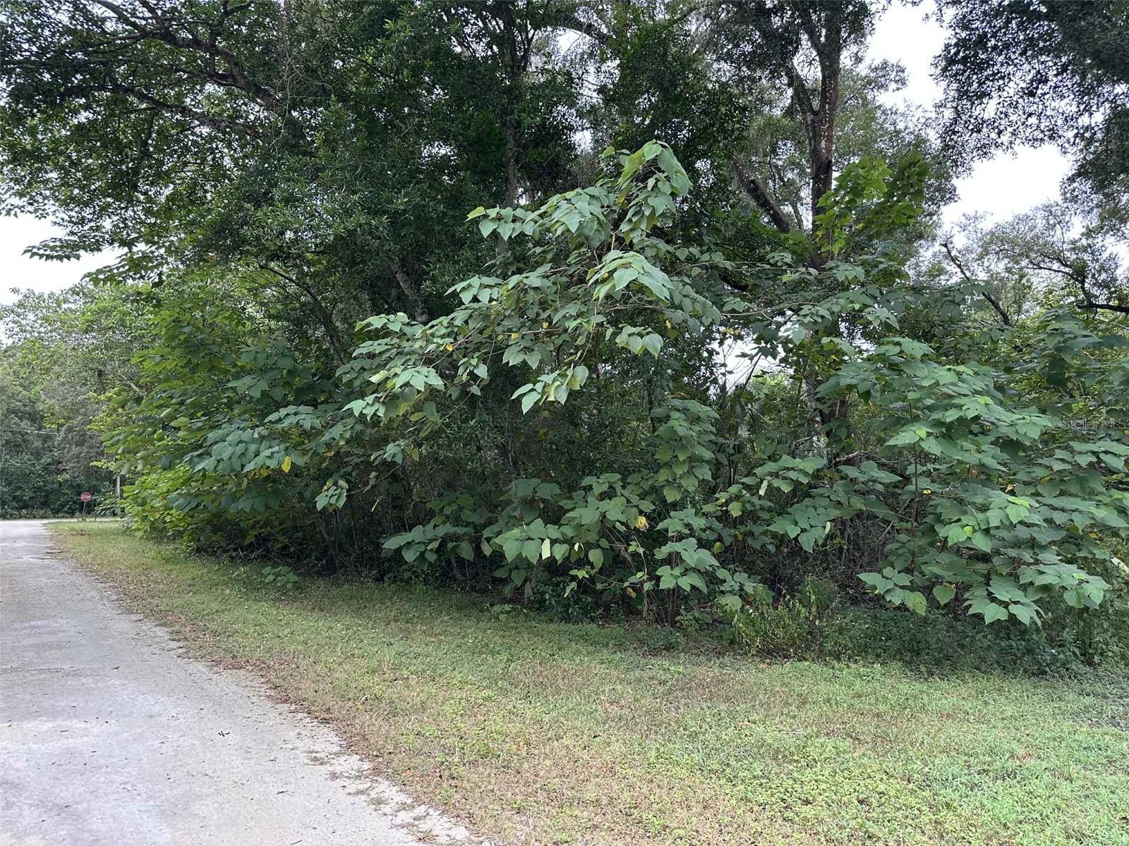 JENKINS AVE, BROOKSVILLE, FL, 34604