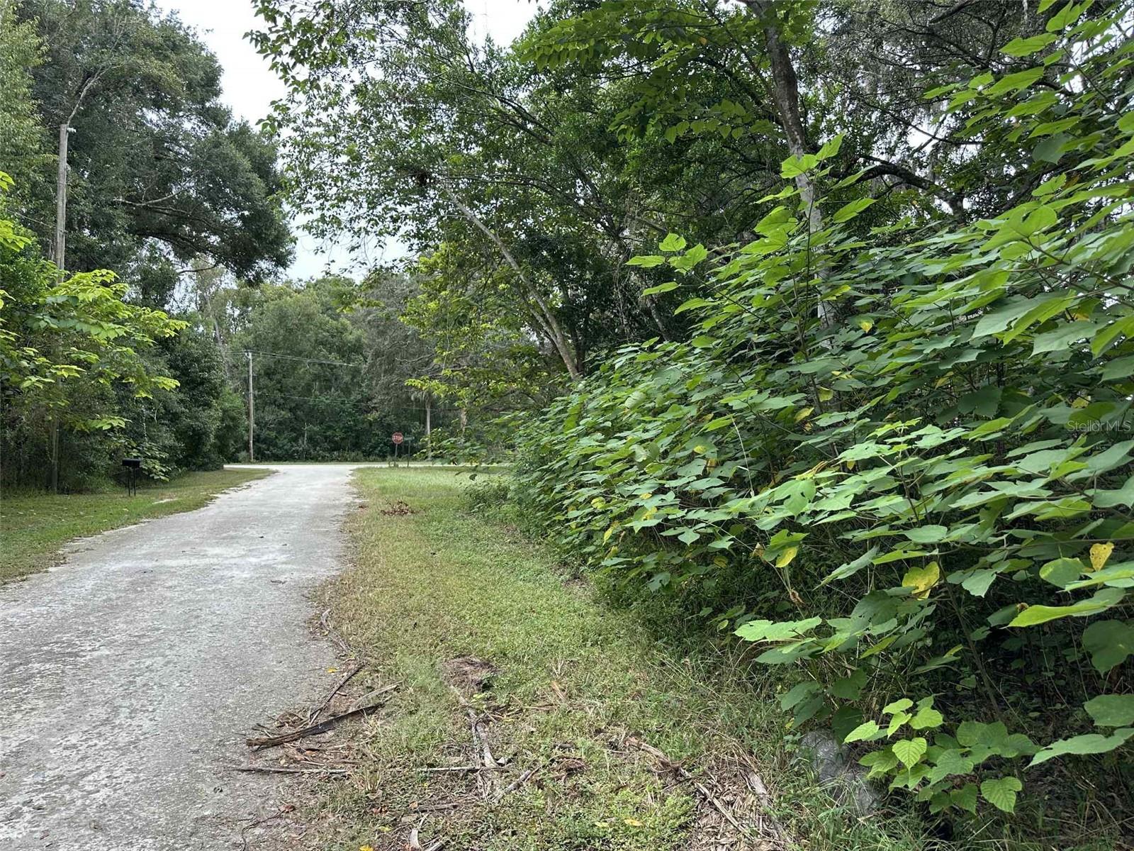 JENKINS AVE, BROOKSVILLE, FL, 34604