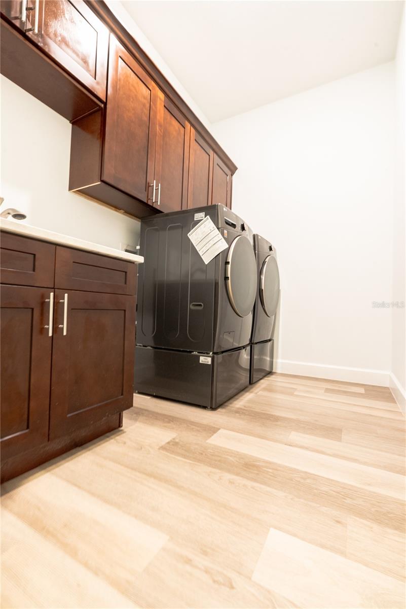 30101 BRETTON LOOP, MOUNT DORA, FL, 32757