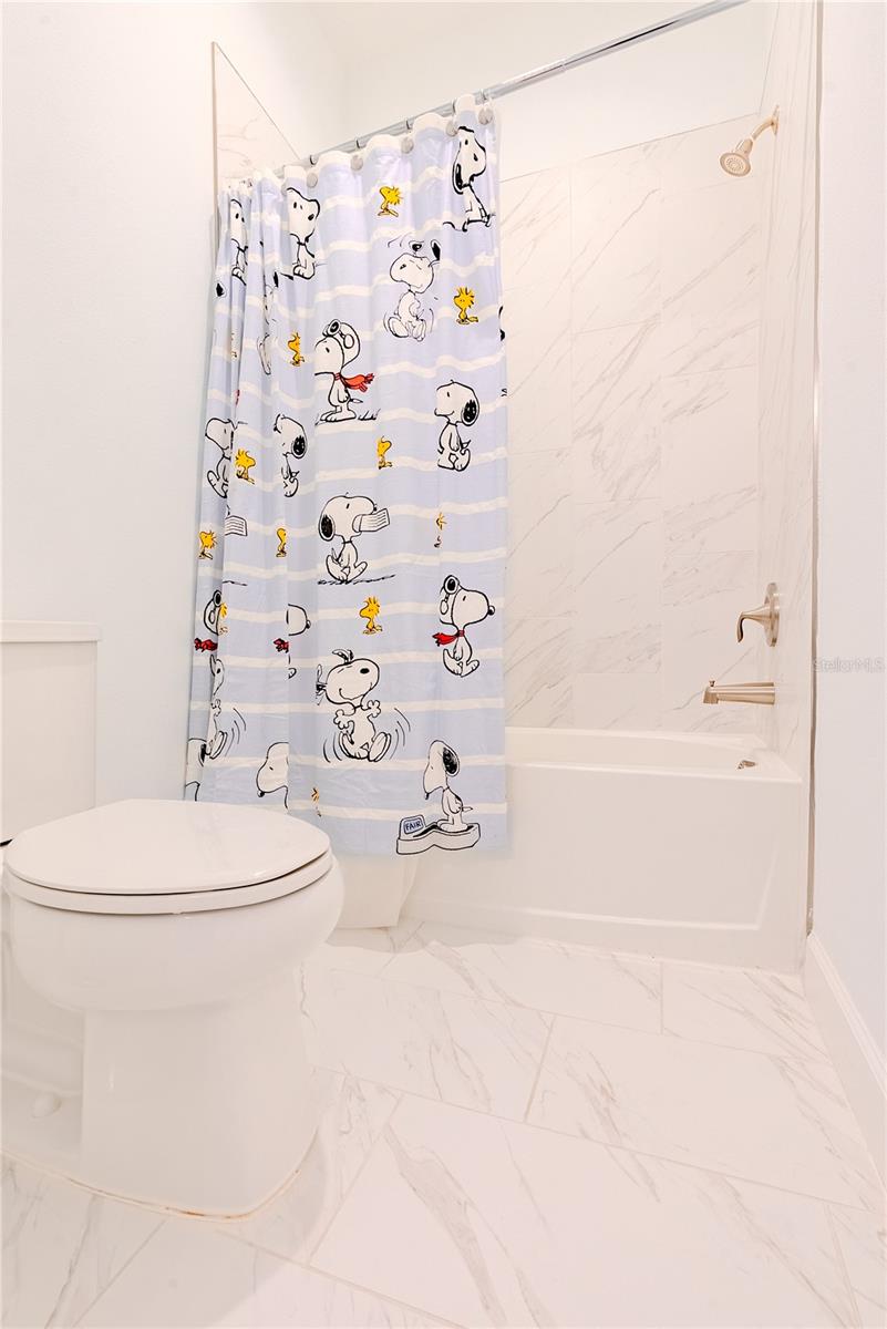 30101 BRETTON LOOP, MOUNT DORA, FL, 32757