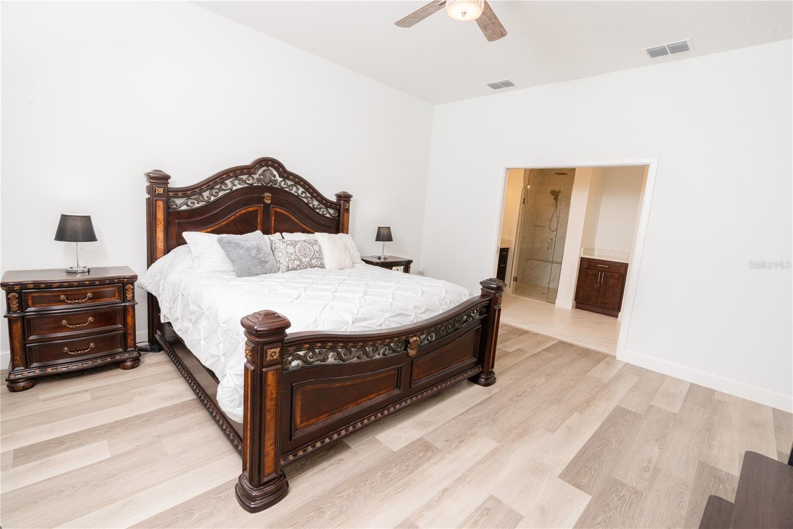 30101 BRETTON LOOP, MOUNT DORA, FL, 32757