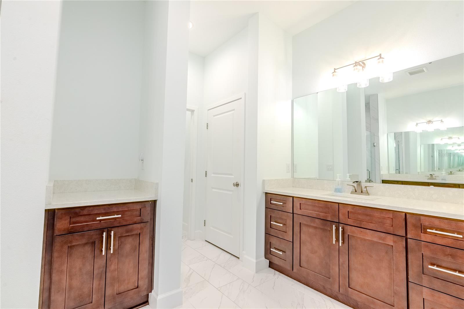 30101 BRETTON LOOP, MOUNT DORA, FL, 32757