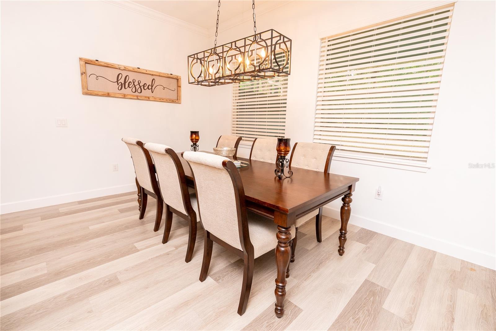 30101 BRETTON LOOP, MOUNT DORA, FL, 32757