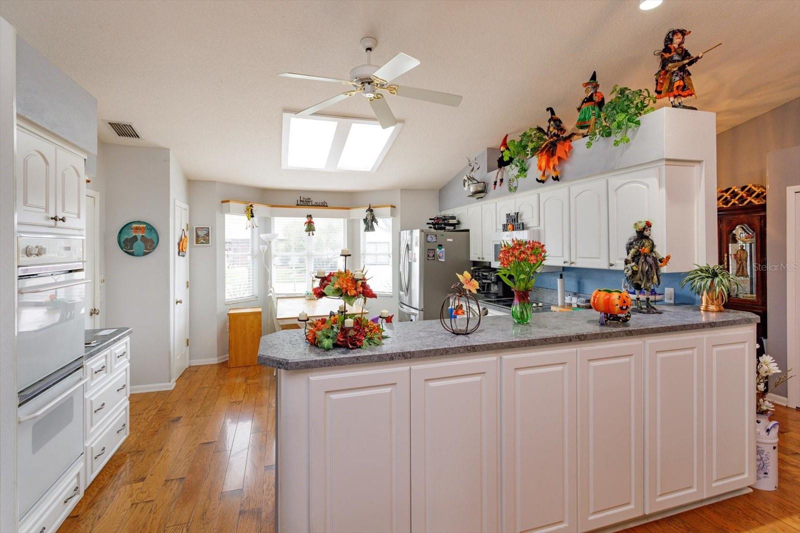 26126 NEWCOMBE CIR, LEESBURG, FL, 34748