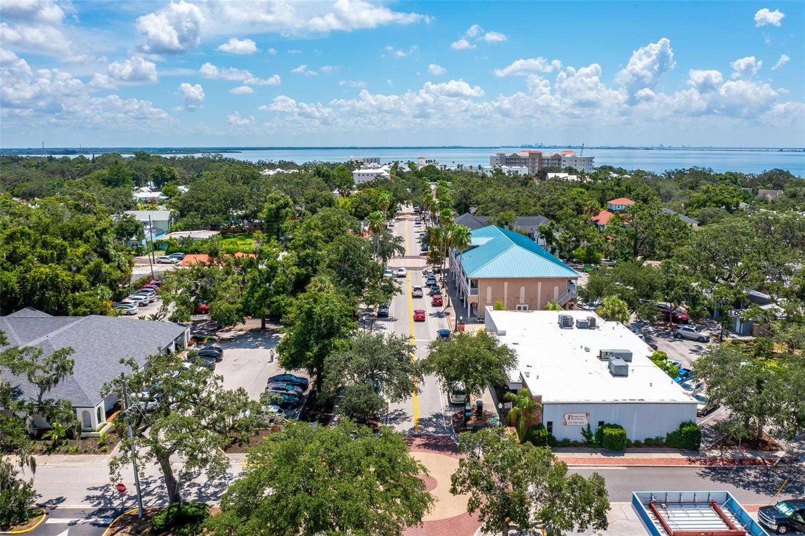 1004 7TH ST S, SAFETY HARBOR, FL, 34695