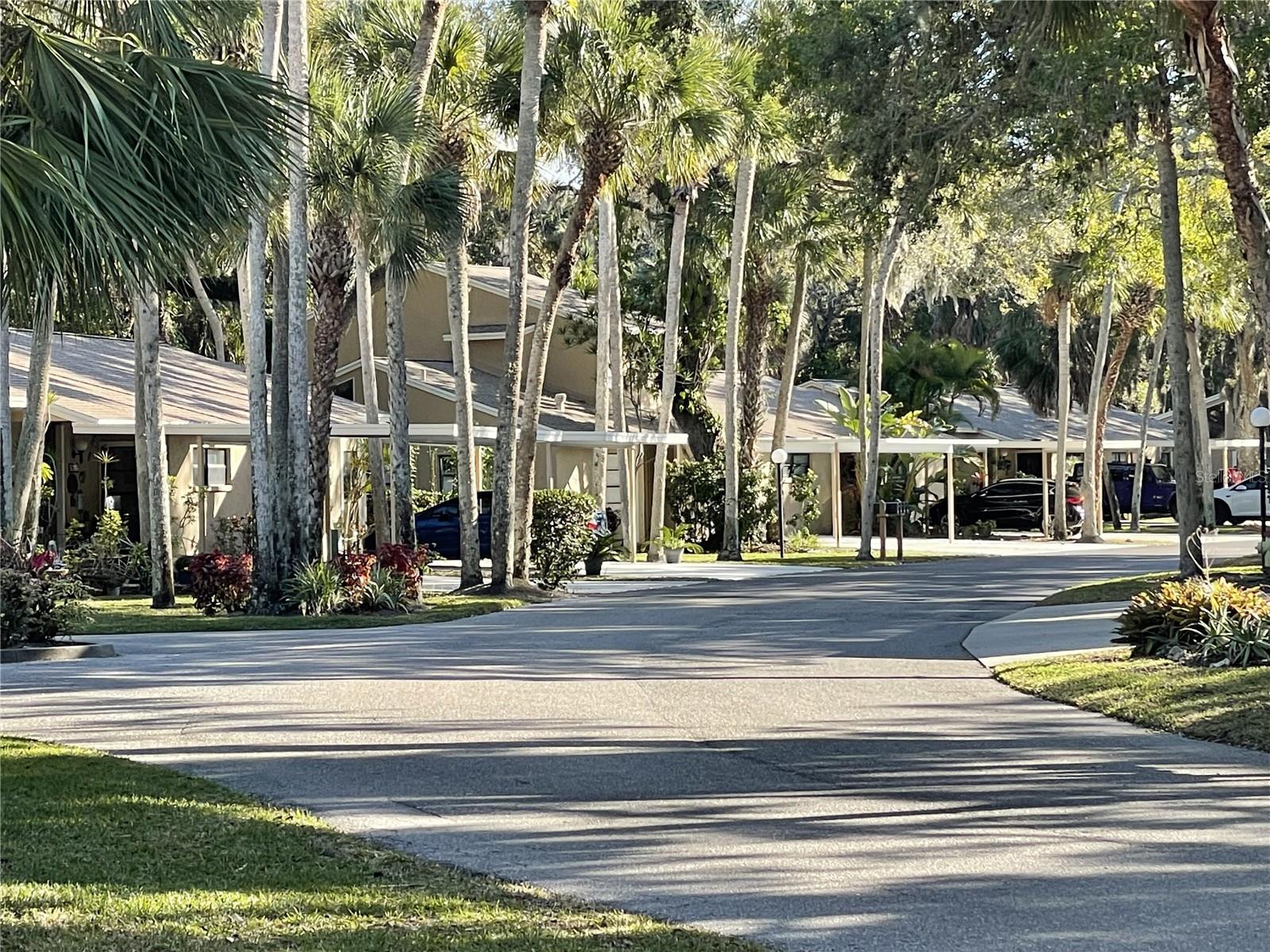 4933 VILLAGE GARDENS DR #211, SARASOTA, FL, 34234