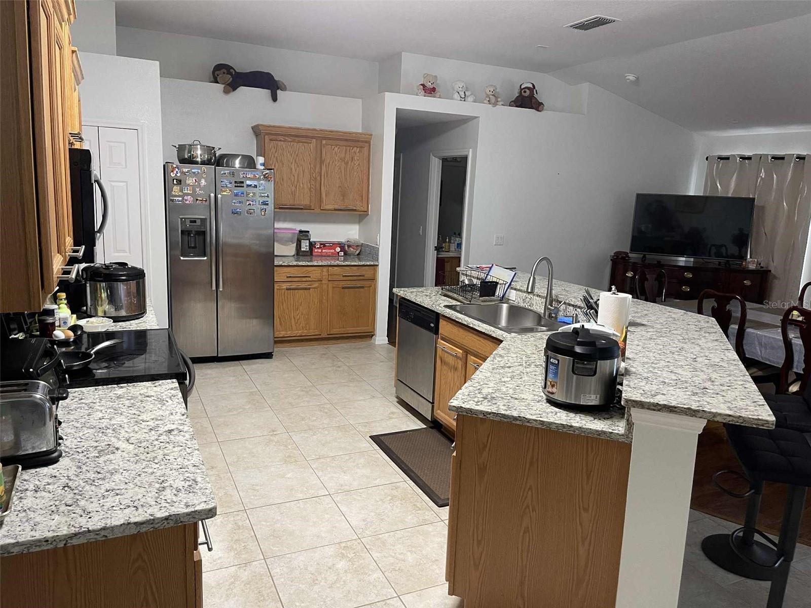 ZEBULAHS TRAIL SEC 63, PALM COAST, FL, 32164