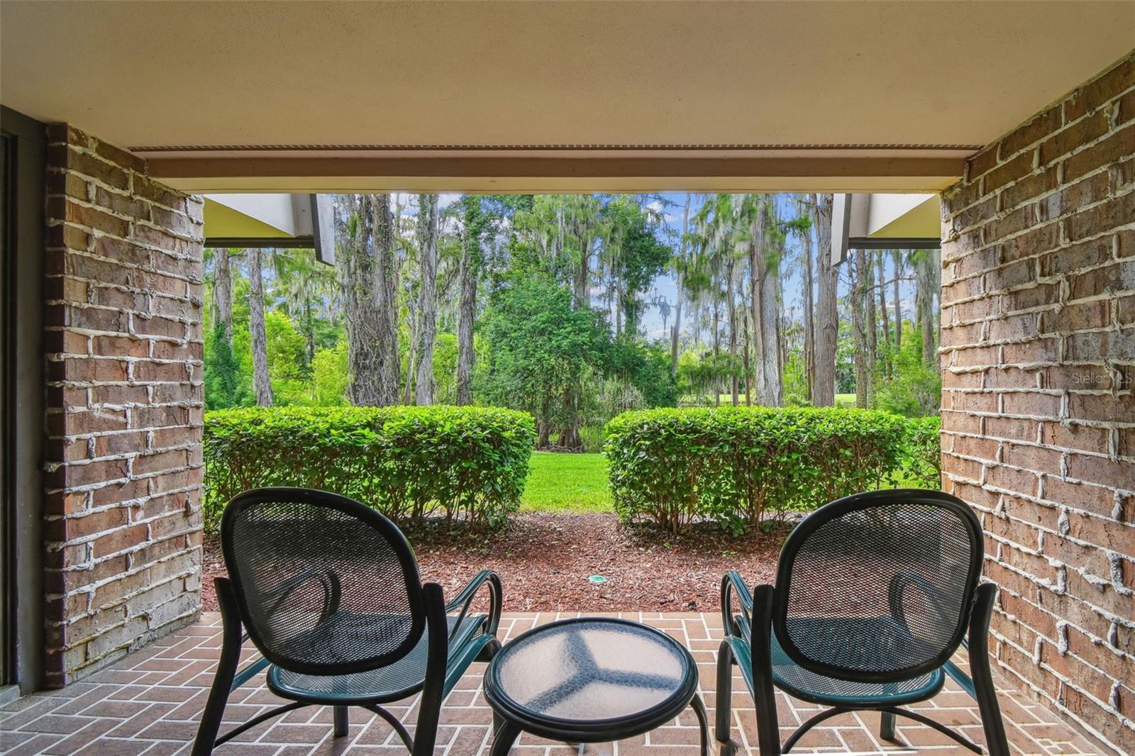 36750 US HIGHWAY 19 N #03116, PALM HARBOR, FL, 34684