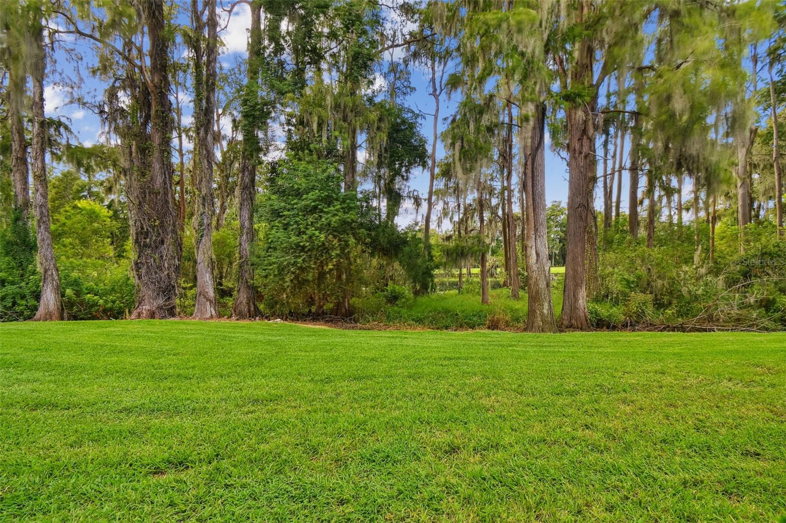 36750 US HIGHWAY 19 N #03116, PALM HARBOR, FL, 34684