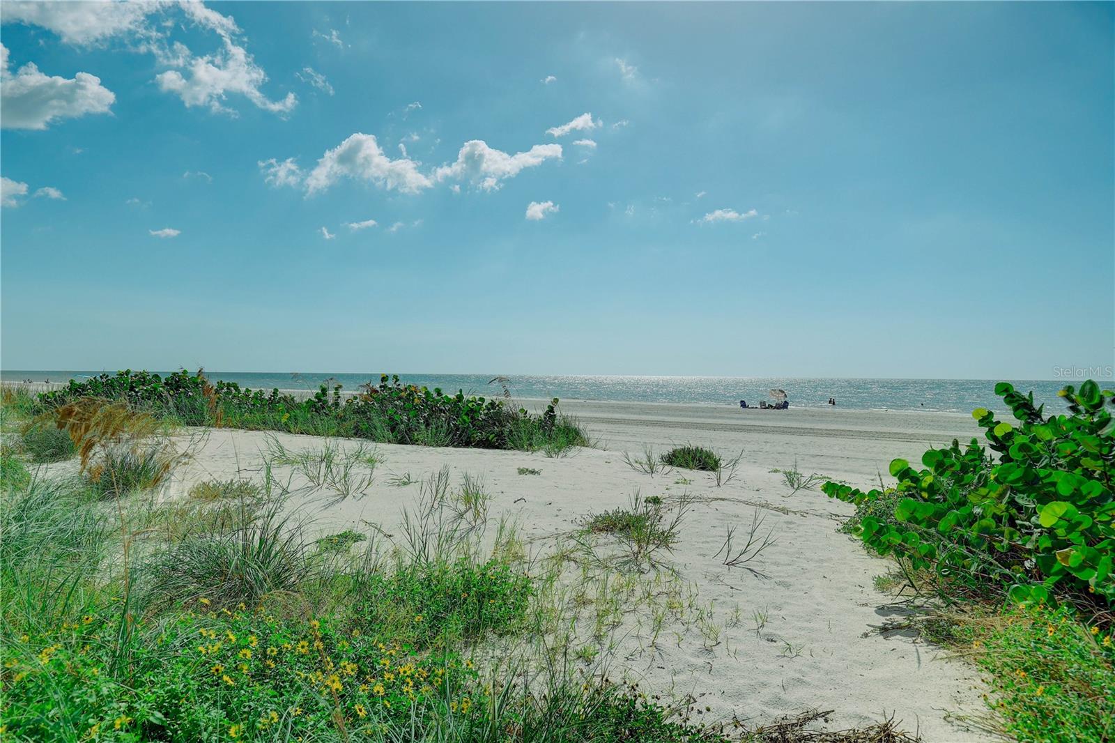 19526 GULF BLVD #2C, INDIAN SHORES, FL, 33785