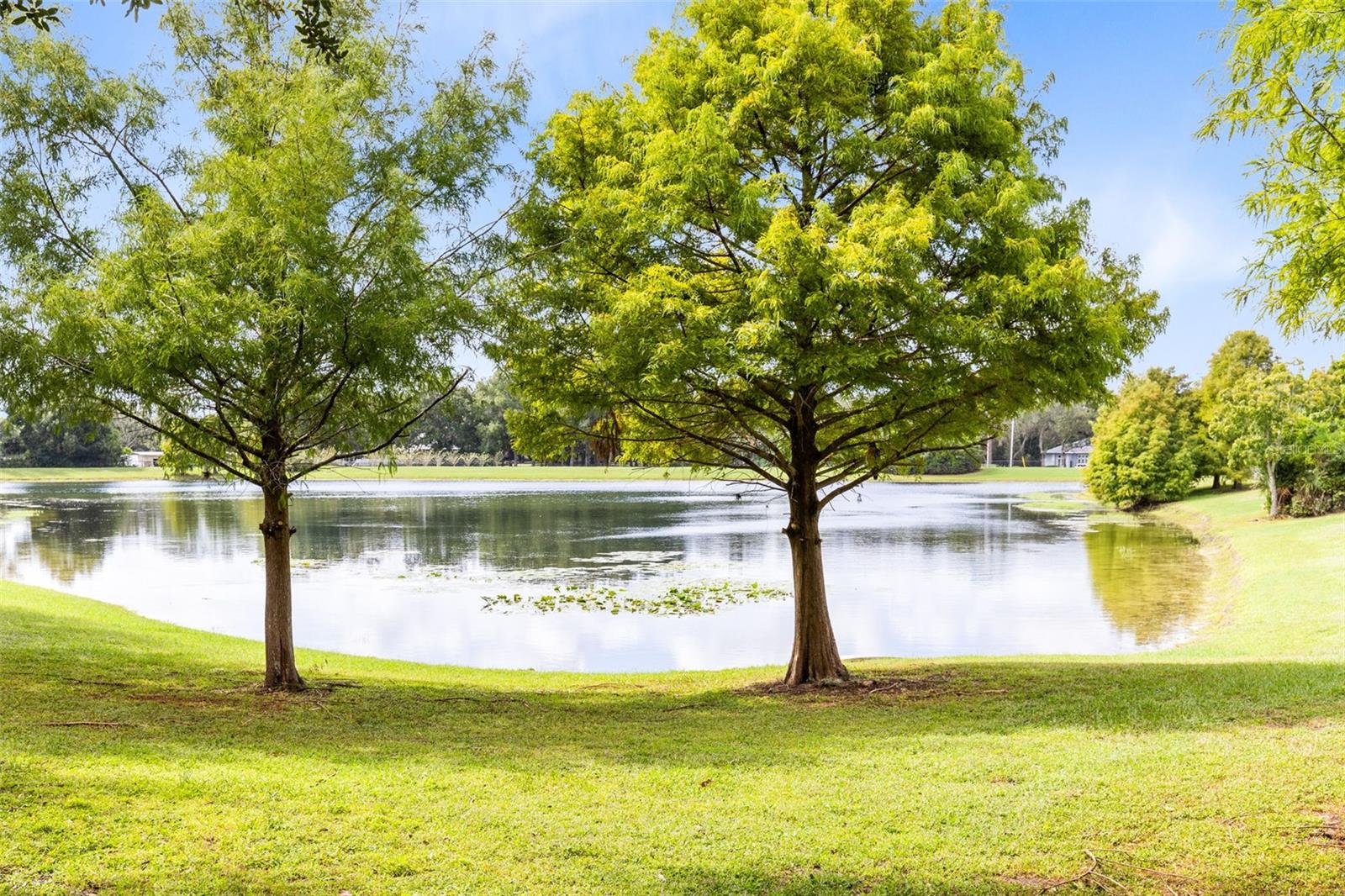 8815 ATWATER LOOP, OVIEDO, FL, 32765