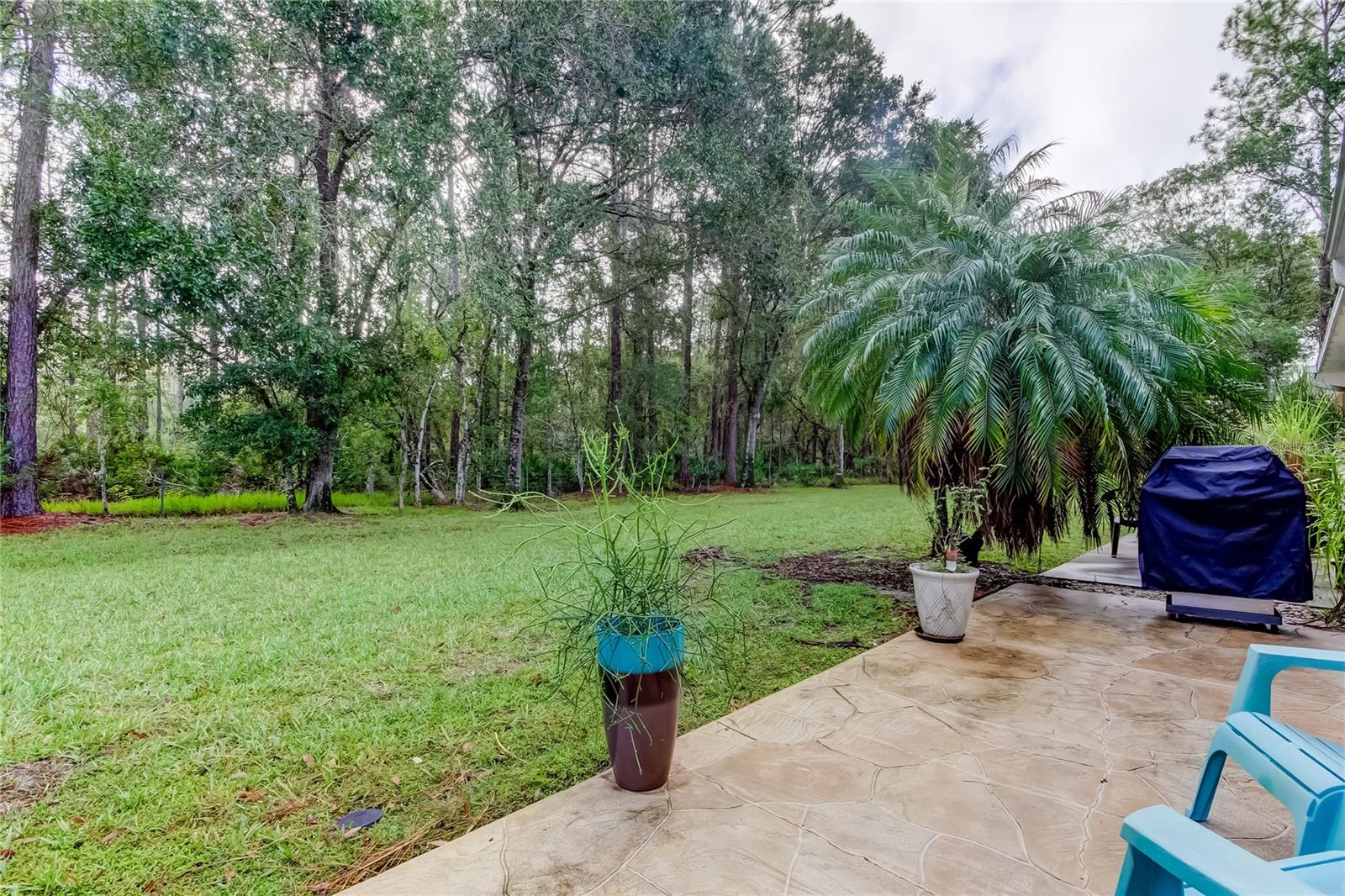 4409 CONNERY CT, PALM HARBOR, FL, 34685