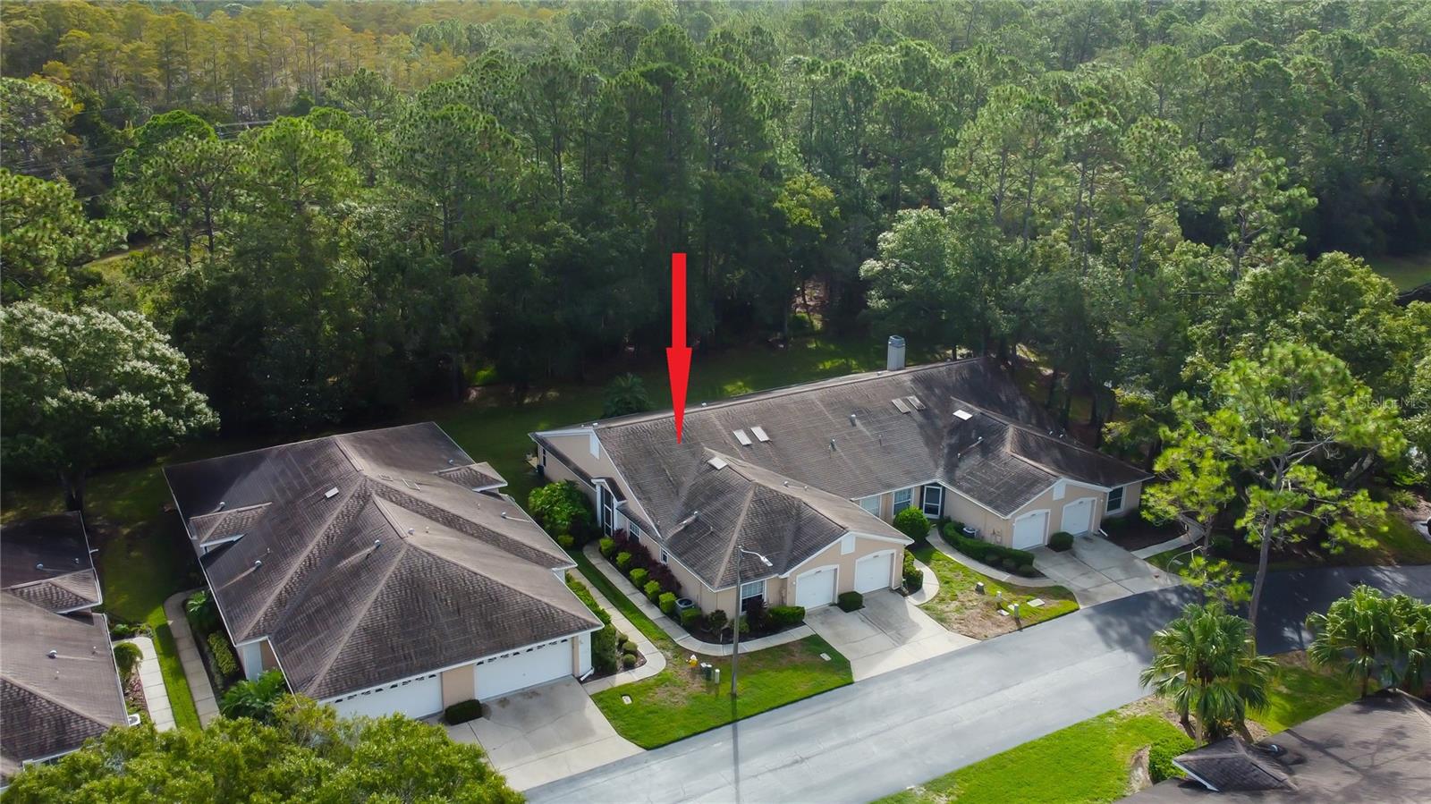 4409 CONNERY CT, PALM HARBOR, FL, 34685