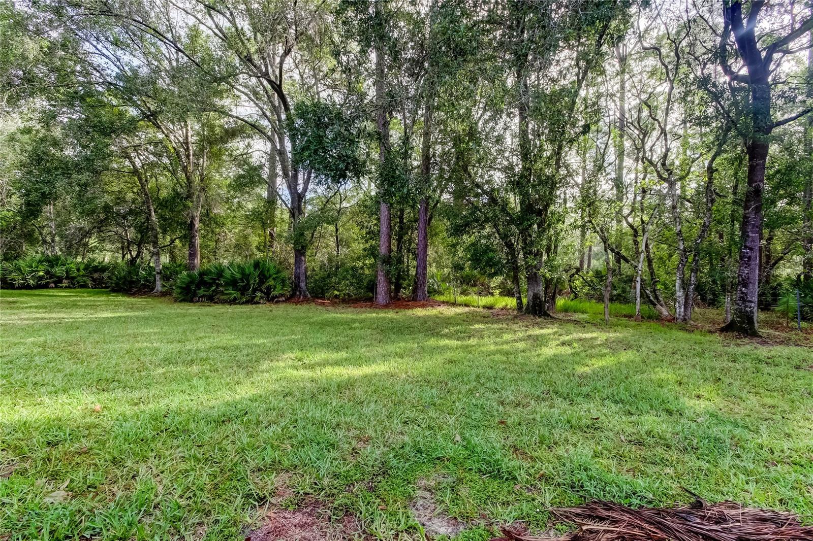 4409 CONNERY CT, PALM HARBOR, FL, 34685