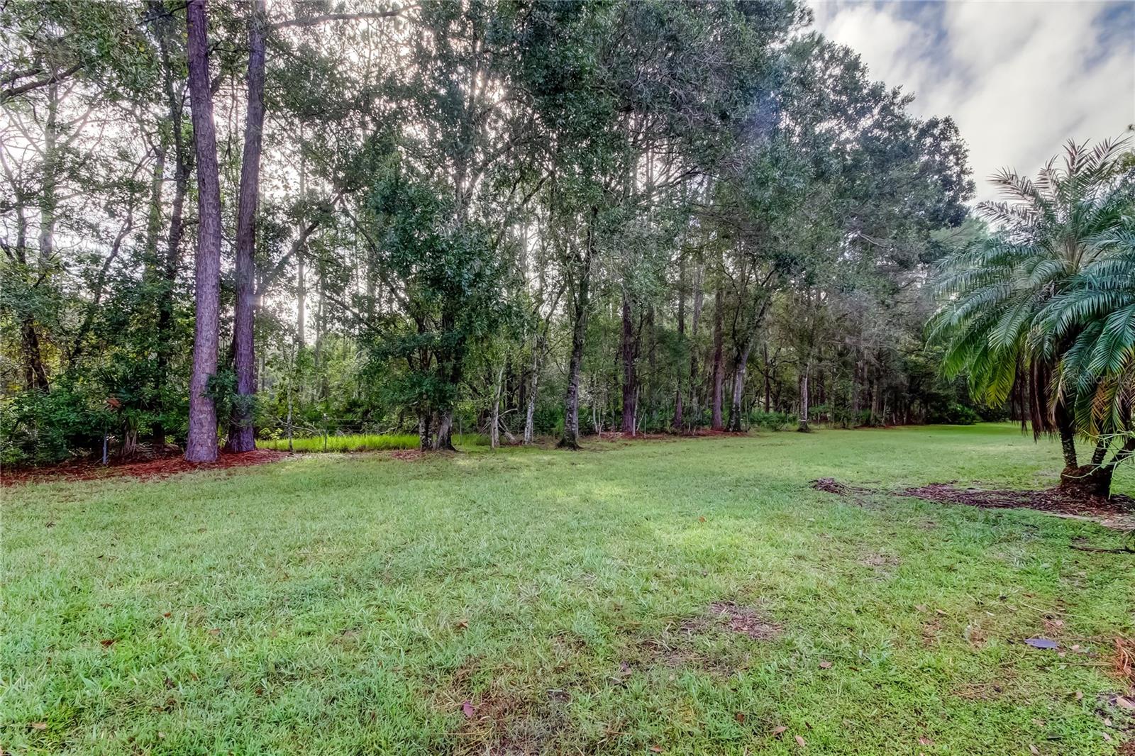 4409 CONNERY CT, PALM HARBOR, FL, 34685