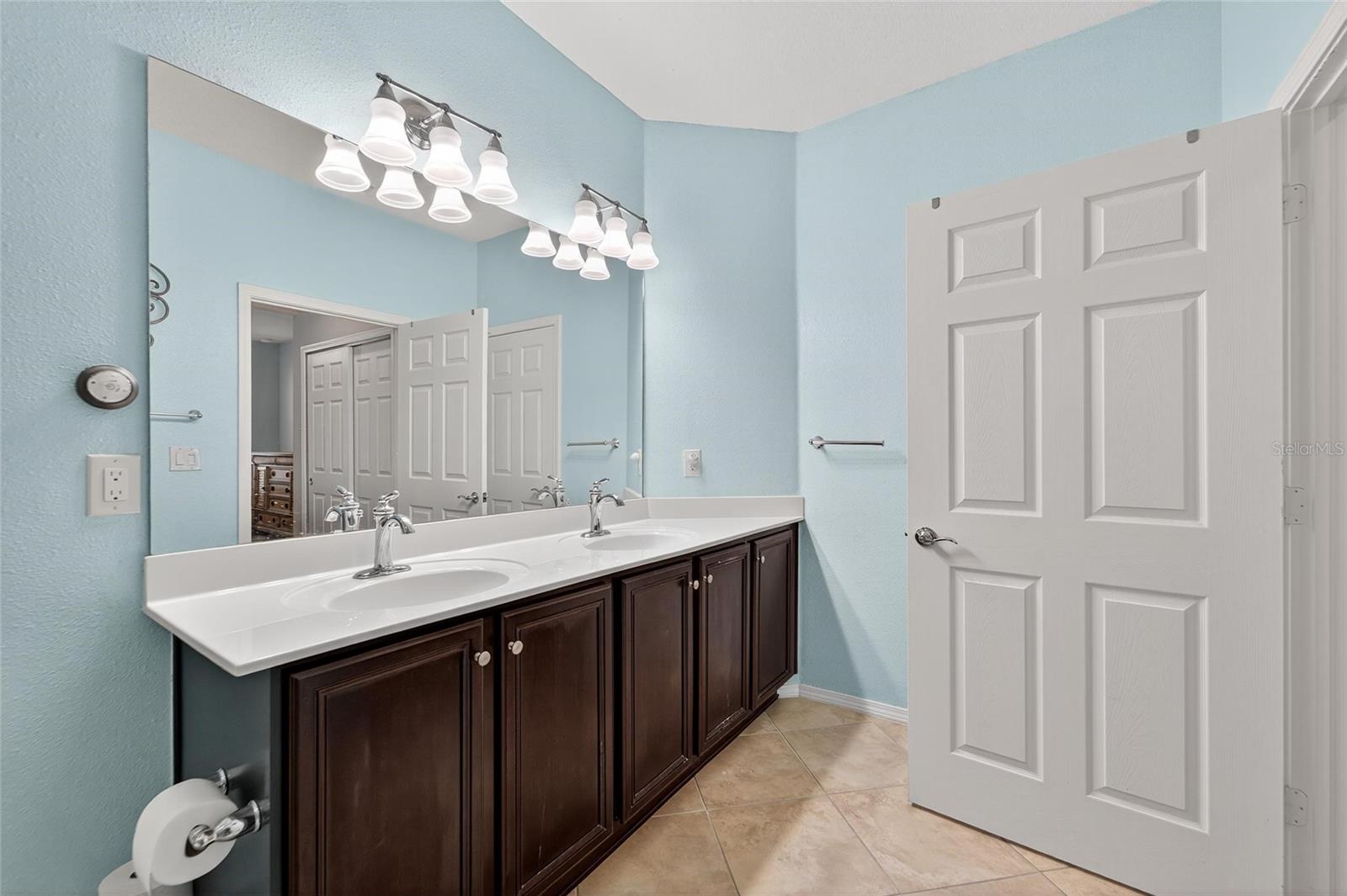 420 CEDAR FALLS DR, APOLLO BEACH, FL, 33572