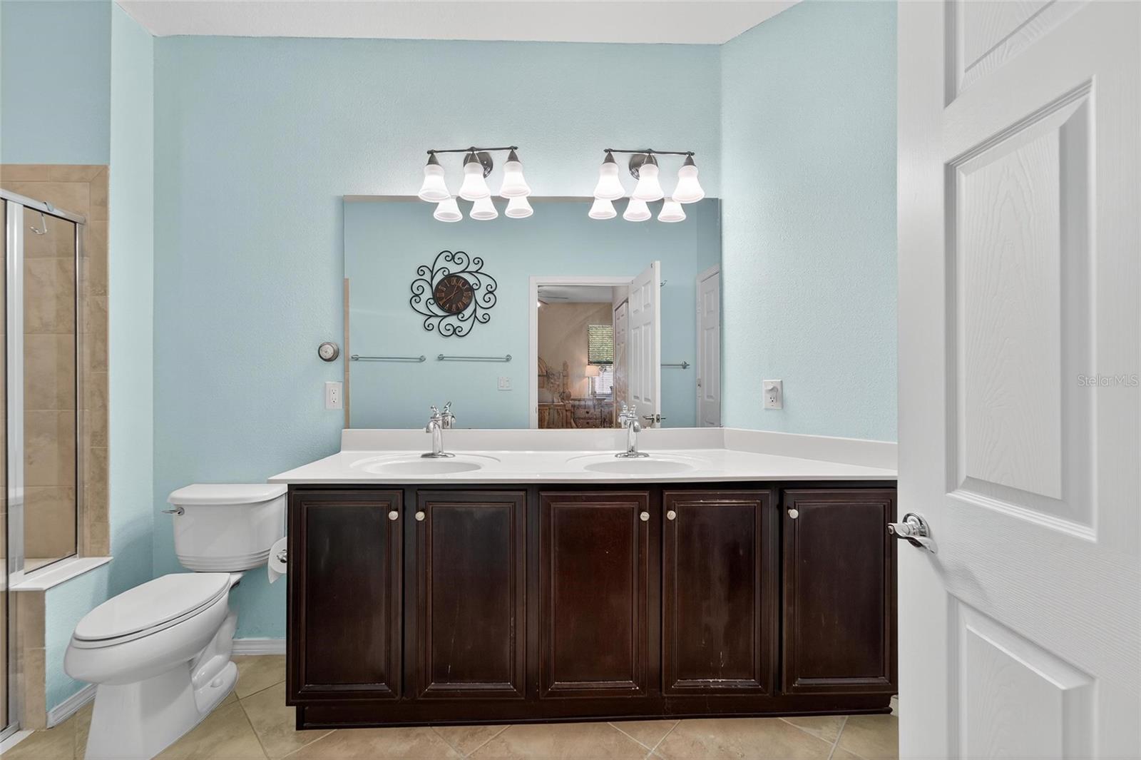 420 CEDAR FALLS DR, APOLLO BEACH, FL, 33572