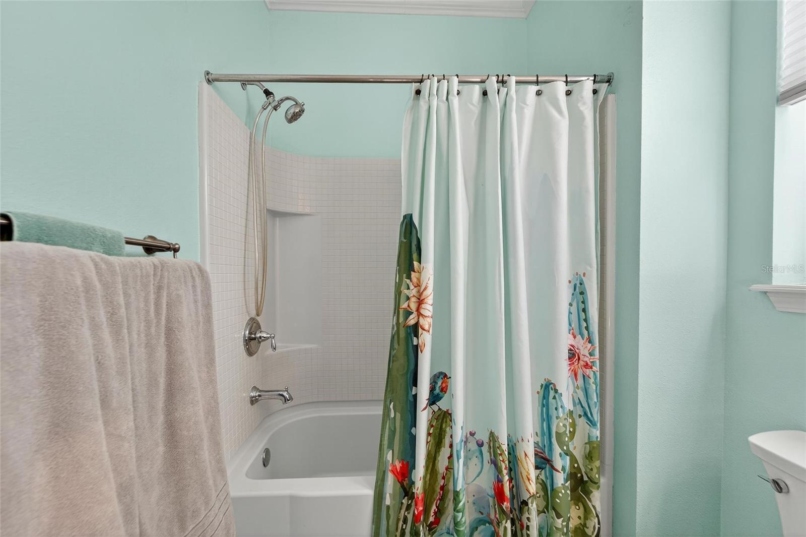 420 CEDAR FALLS DR, APOLLO BEACH, FL, 33572