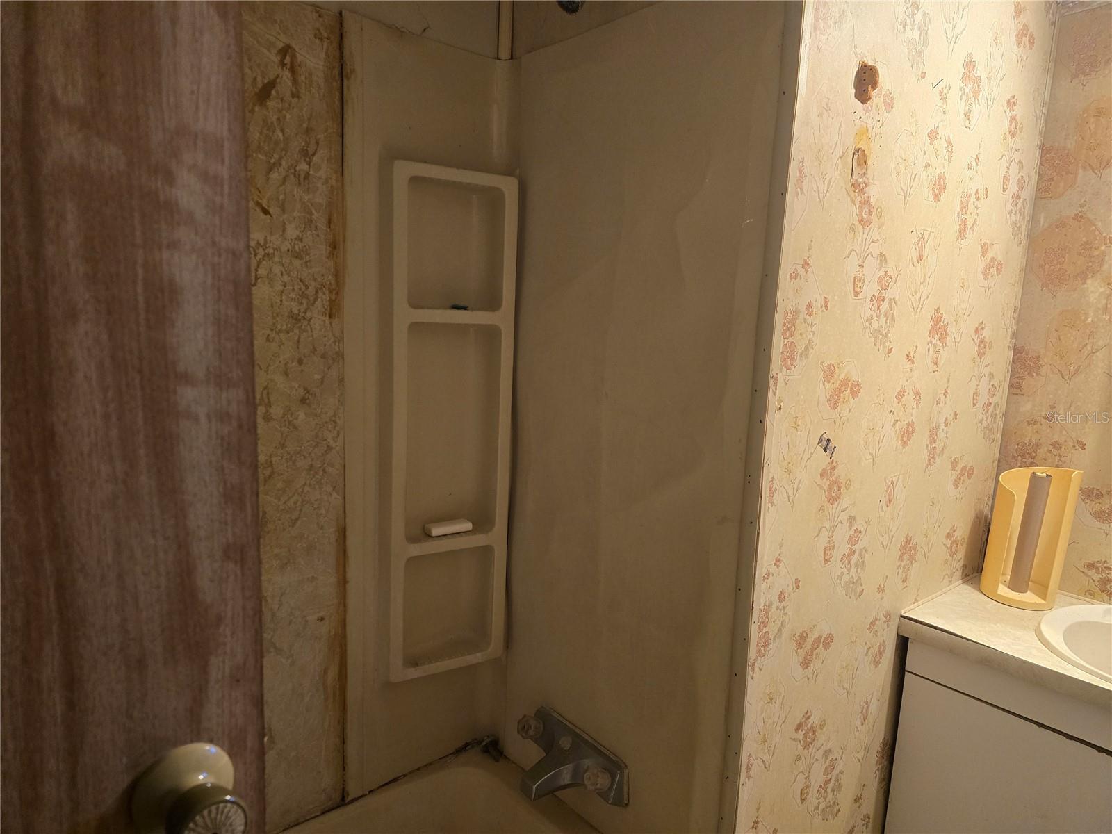 513 SMITH RD, POLK CITY, FL, 33868